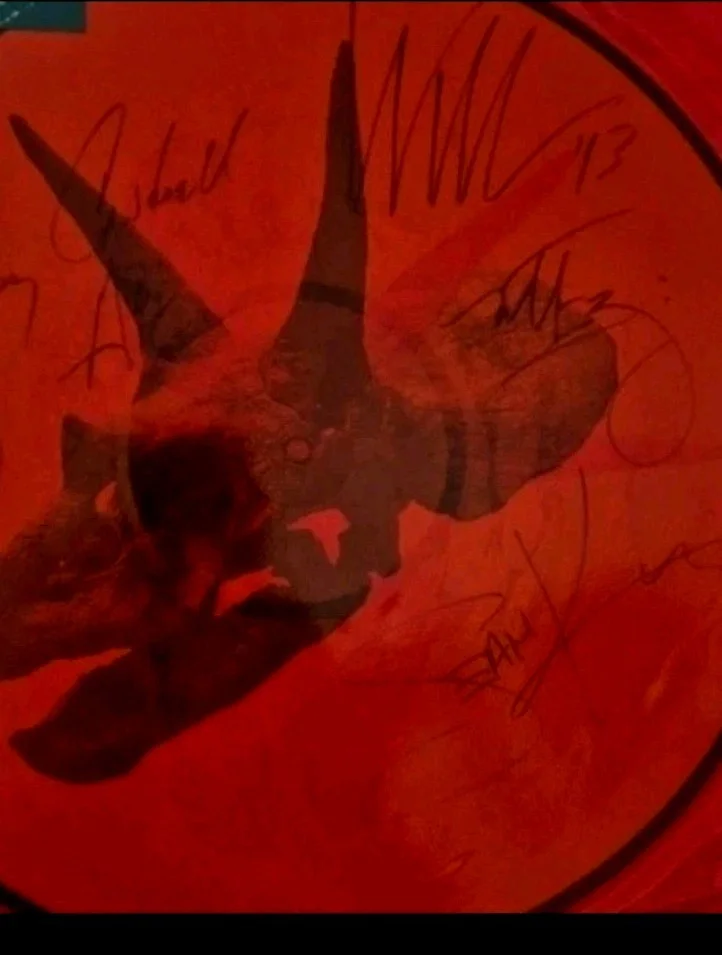 Alice In Chains Signed All 4 The Devil Put Dinosaurs Here Pic Vinyl Disc, image 4