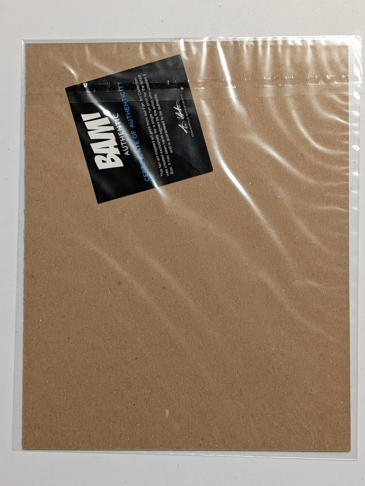 Bam Gamer CASTLEVANIA Print Artist Signed 270/2200 8"x10", изображение 2