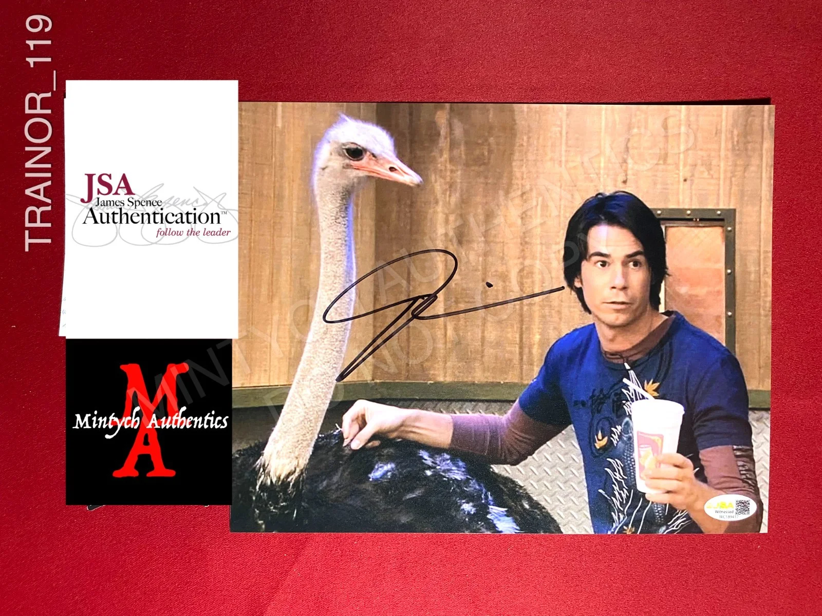 Jerry Trainor — Jerry Trainor autographed signed 8x10 photo iCarly Spencer Shay Nickelodeon JSA