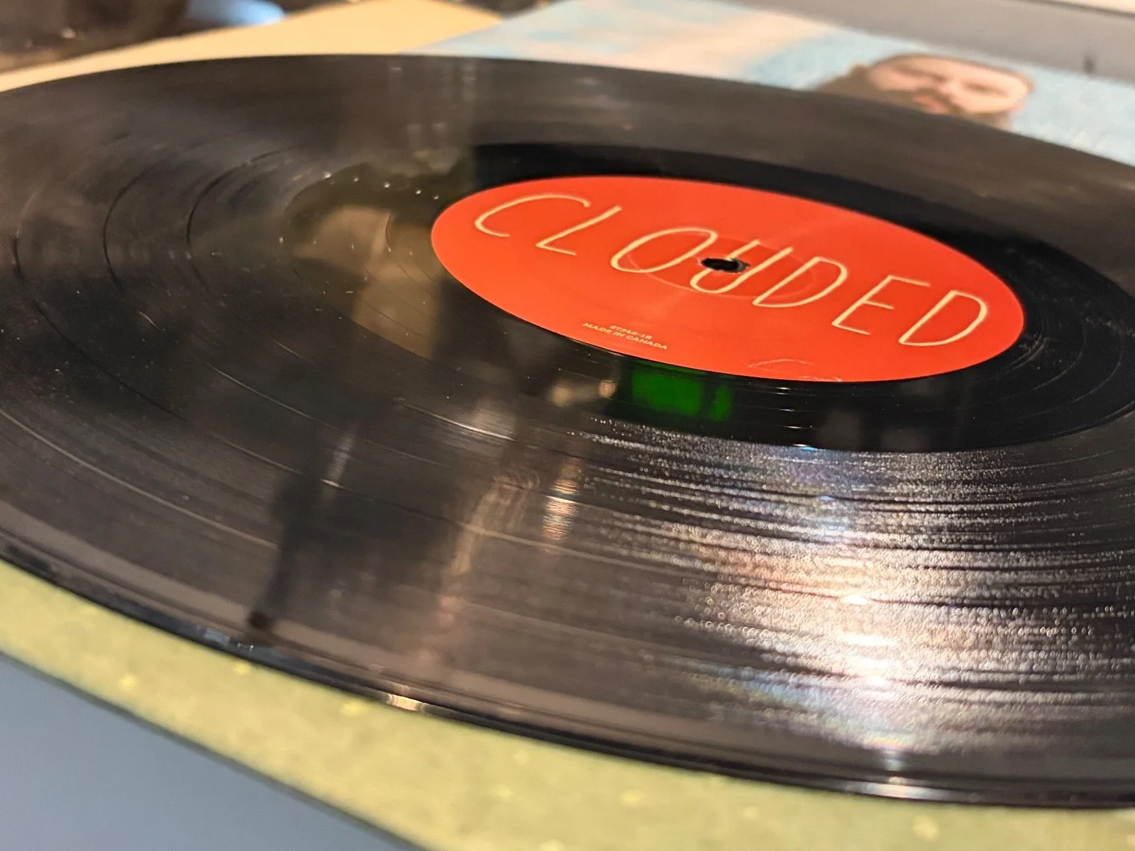Signed/autographed vinyl from this wild life- Couded LP, image 4