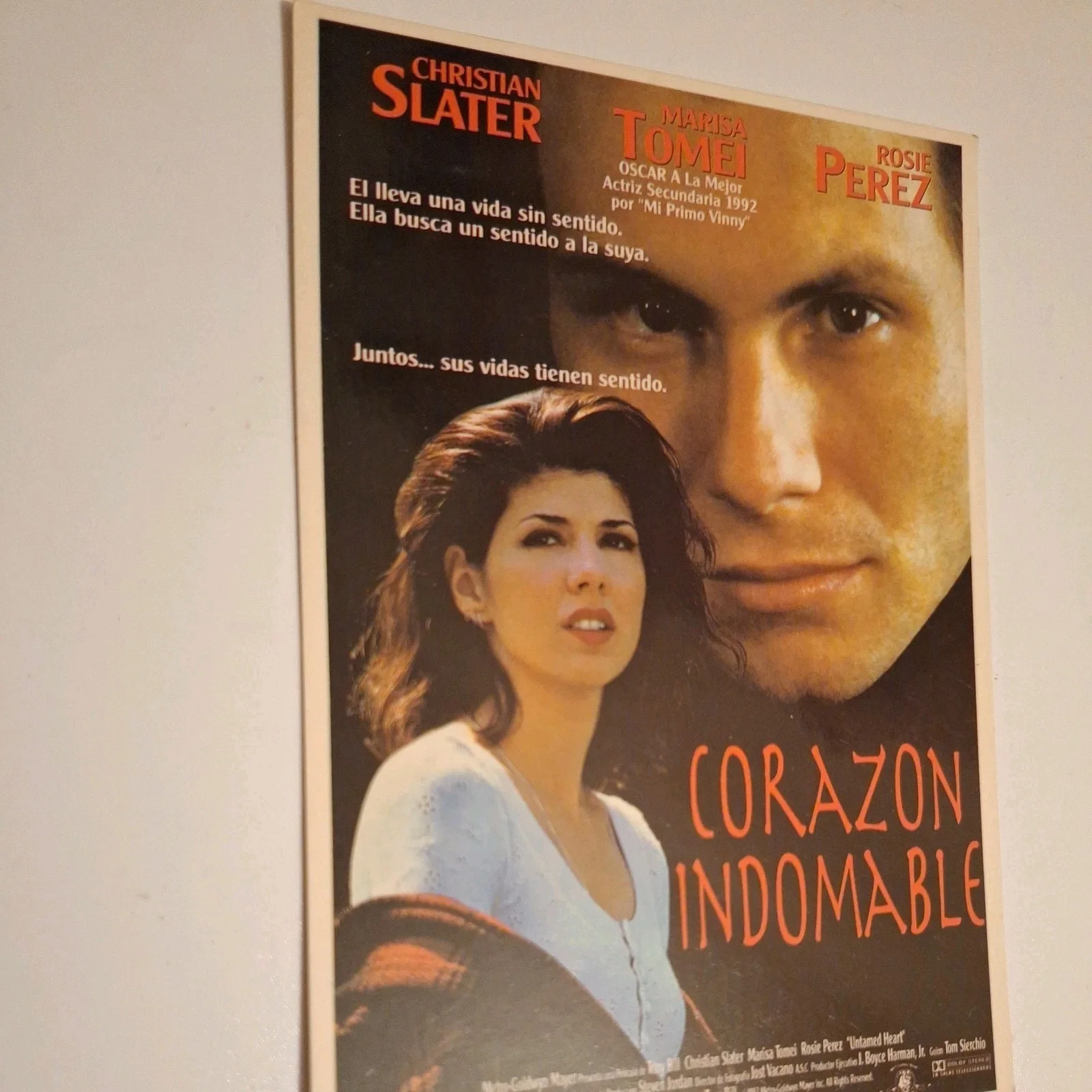 Vintage Style "Untamed Heart" 1993 Premium illustration Reproduction Postcard, изображение 4