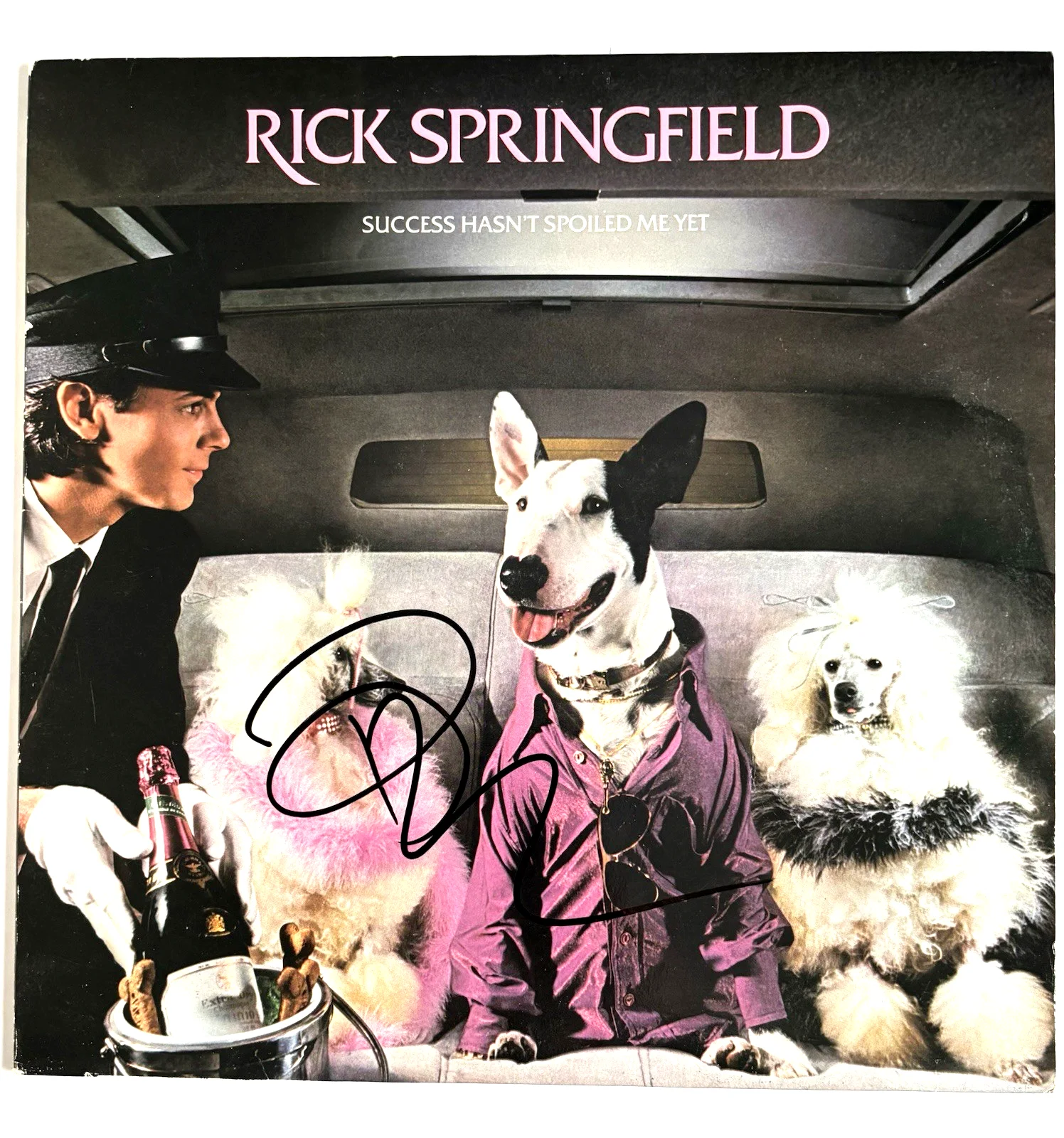 RICK SPRINGFIELD Signed SUCCESS Vinyl LP RECORD Album PSA DNA COA Proof, изображение 2