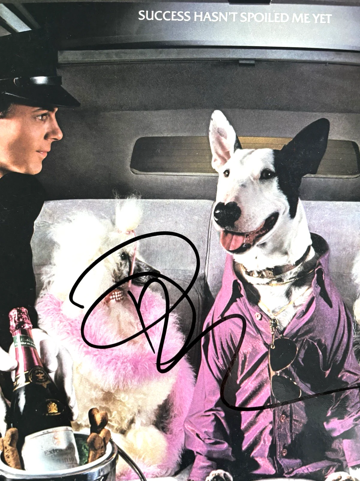 RICK SPRINGFIELD Signed SUCCESS Vinyl LP RECORD Album PSA DNA COA Proof, изображение 3