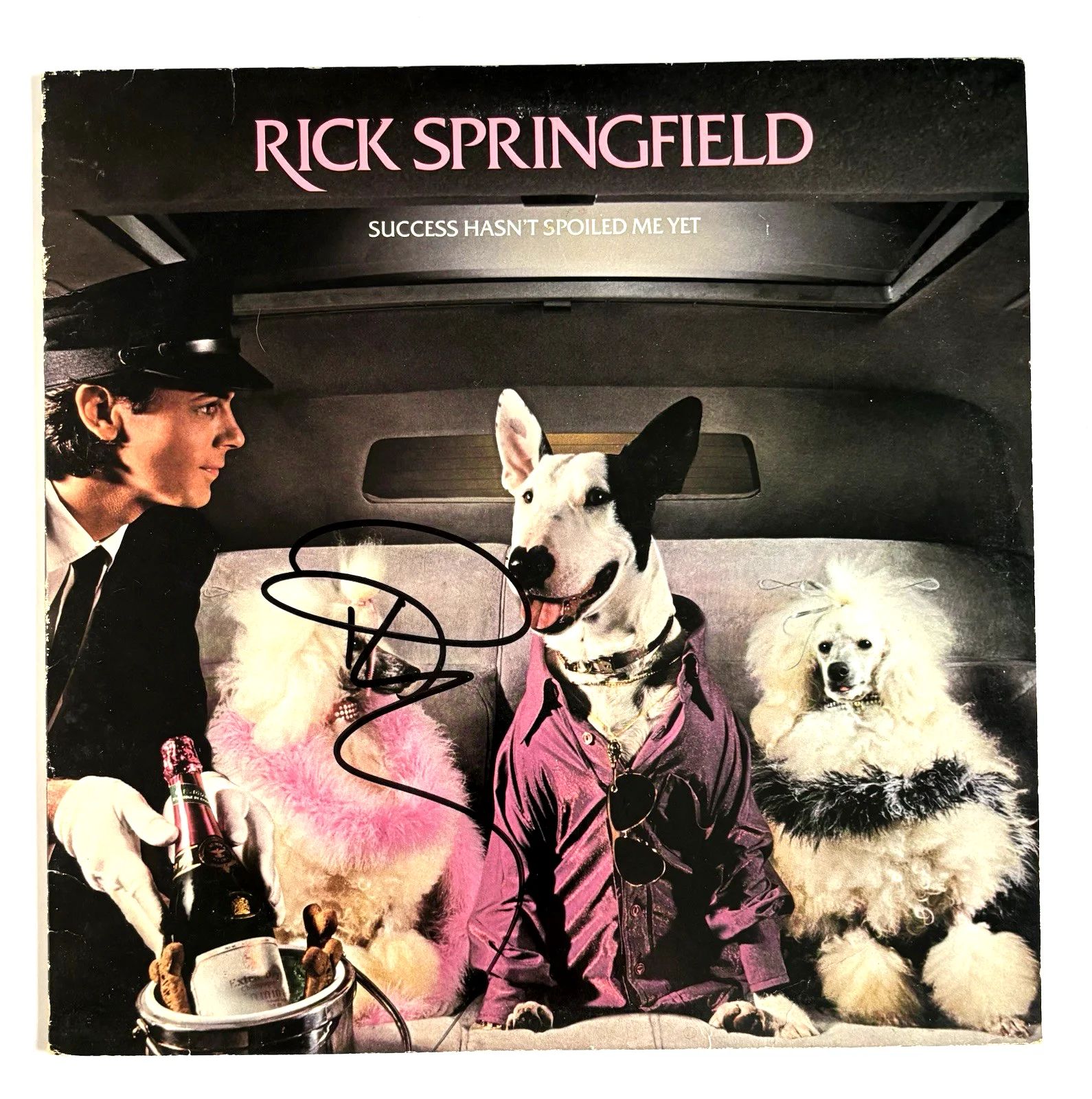 RICK SPRINGFIELD Signed SUCCESS HASN’T Vinyl LP RECORD Album PSA DNA COA Proof, image 2