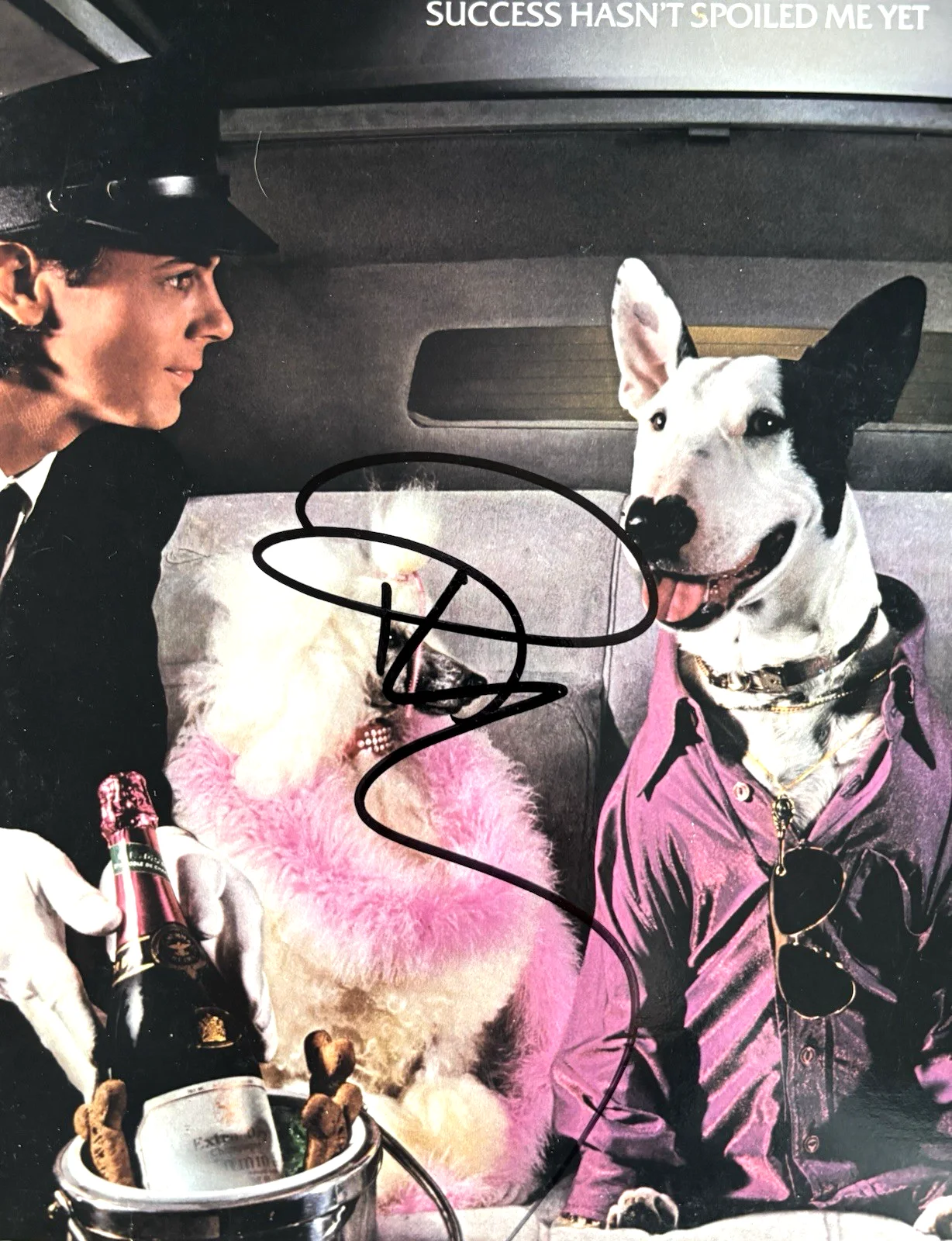 RICK SPRINGFIELD Signed SUCCESS HASN’T Vinyl LP RECORD Album PSA DNA COA Proof, image 3