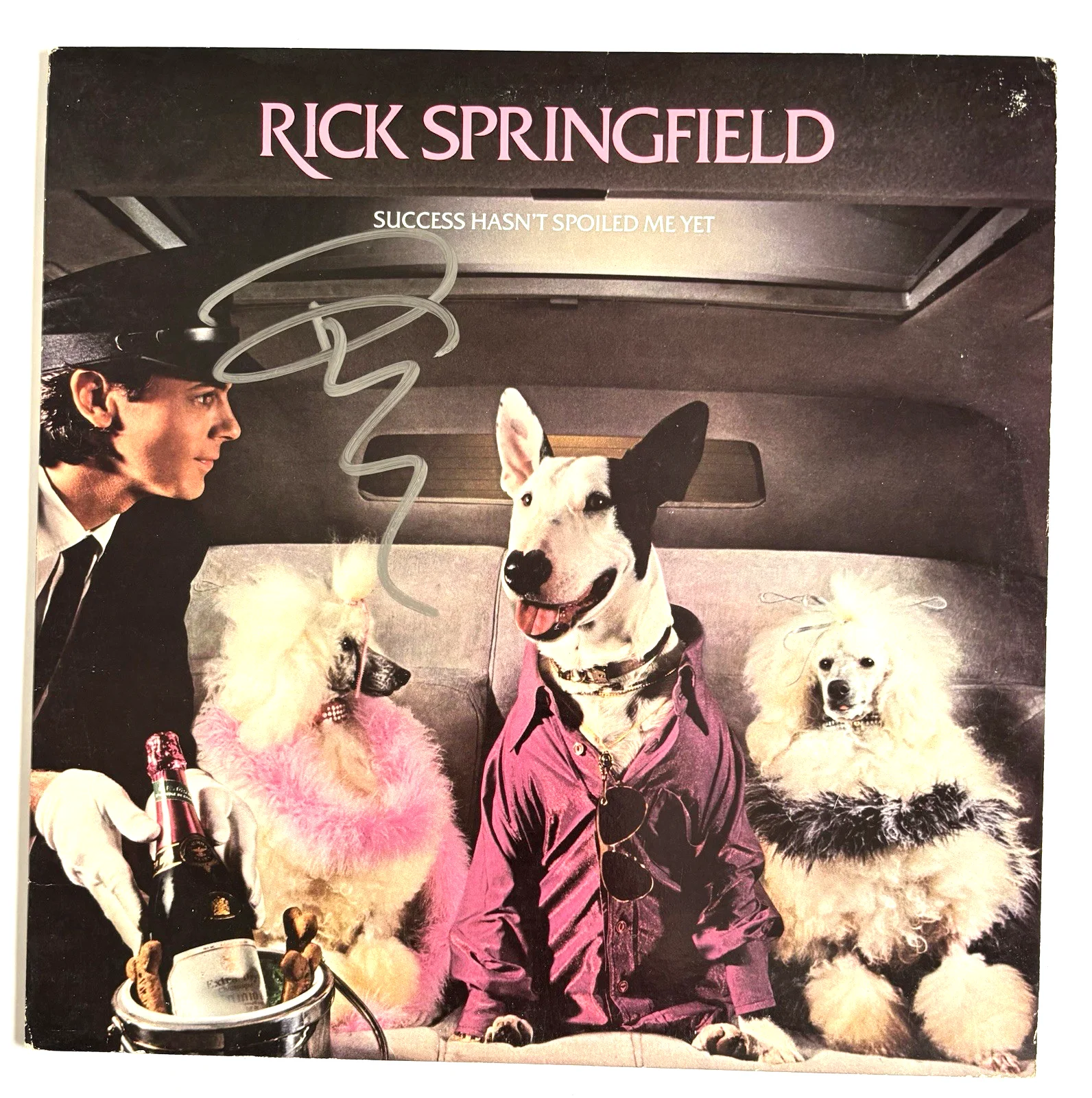RICK SPRINGFIELD Signed SUCCESS HASN’T Vinyl LP RECORD Album PSA DNA COA Proof, изображение 2
