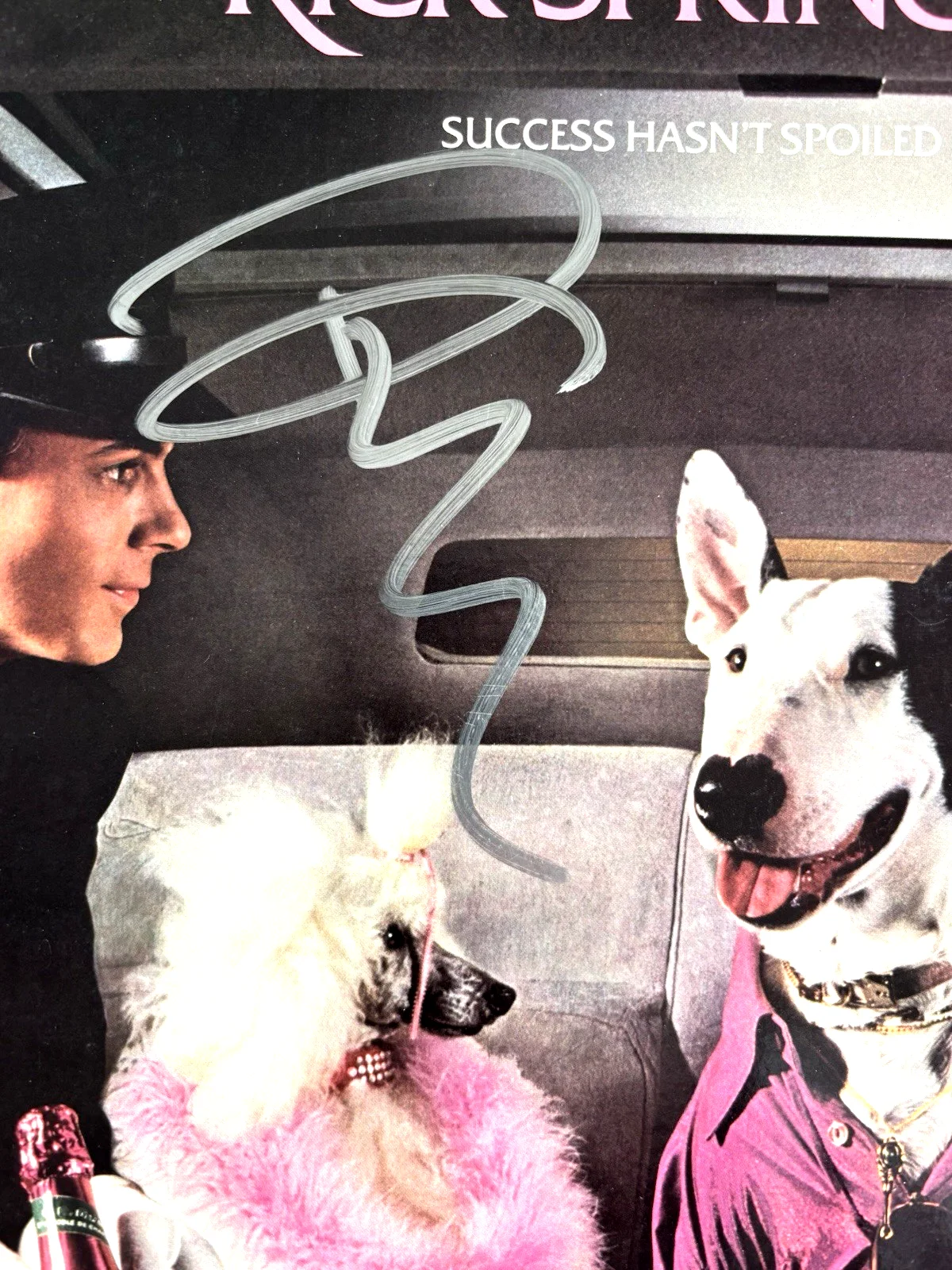 RICK SPRINGFIELD Signed SUCCESS HASN’T Vinyl LP RECORD Album PSA DNA COA Proof, изображение 3