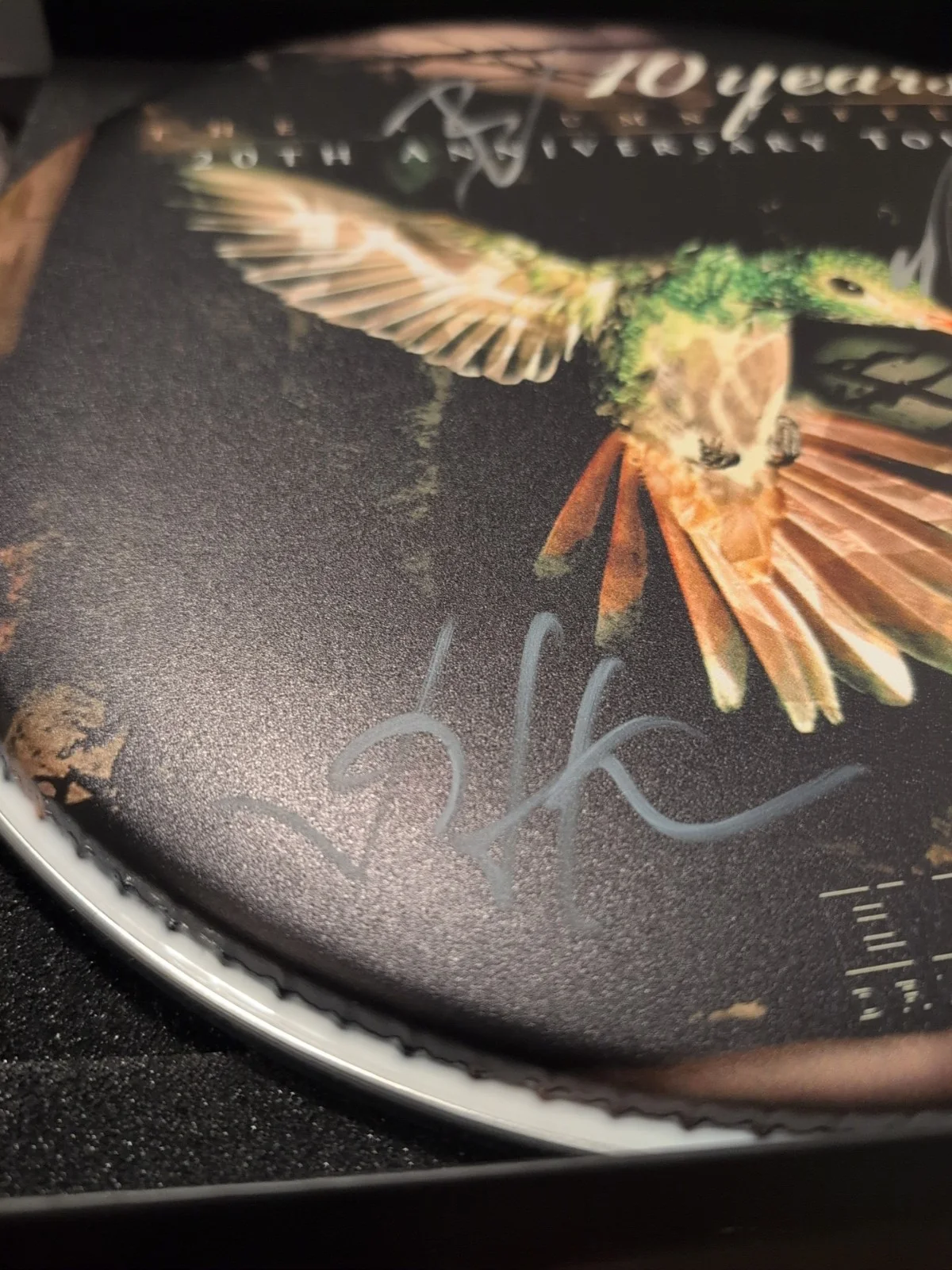 10 YEARS Band SIGNED Drumhead The Autumn Effect 20th 💯 Official Merch See Descr, изображение 2
