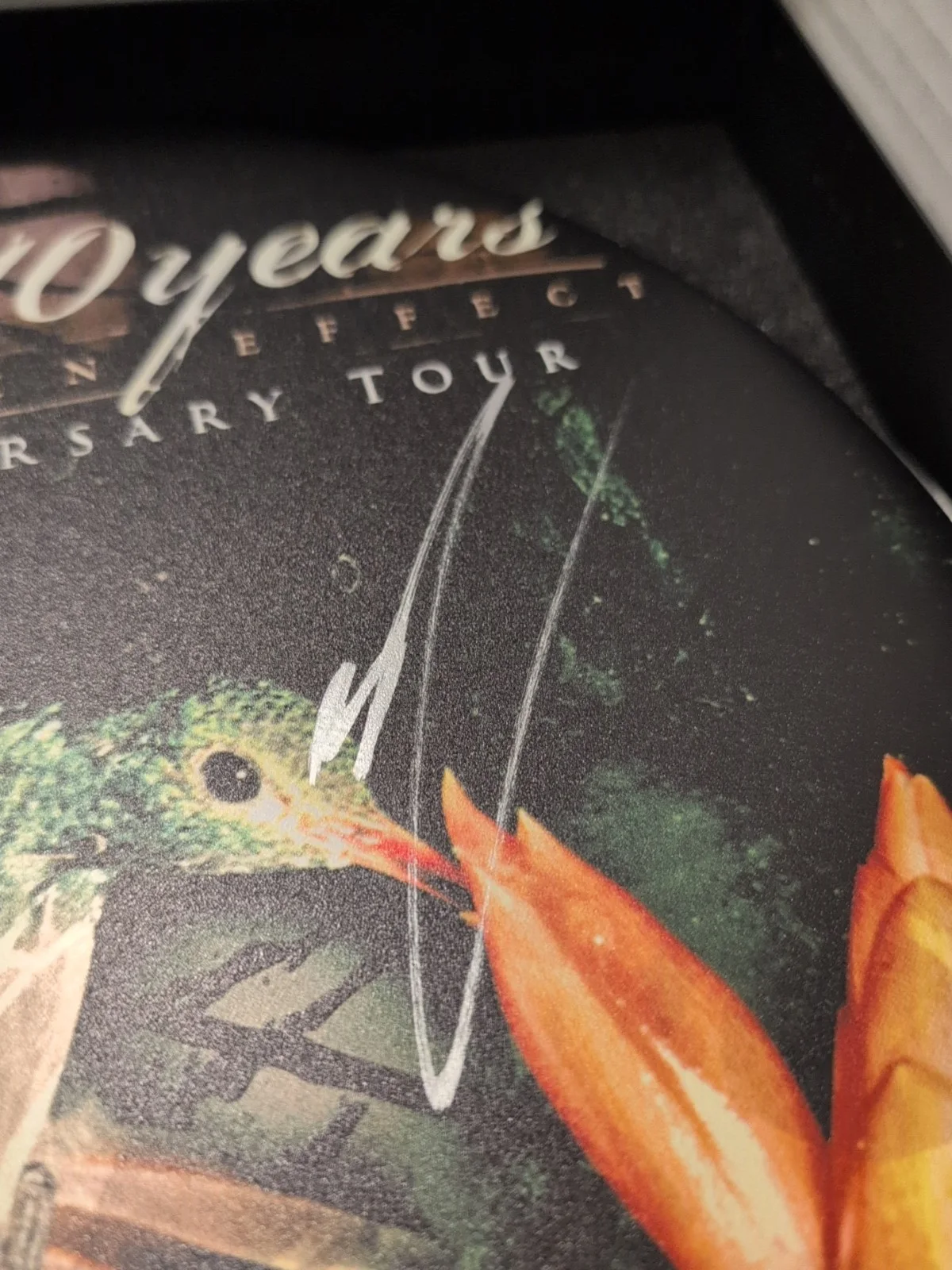 10 YEARS Band SIGNED Drumhead The Autumn Effect 20th 💯 Official Merch See Descr, изображение 3