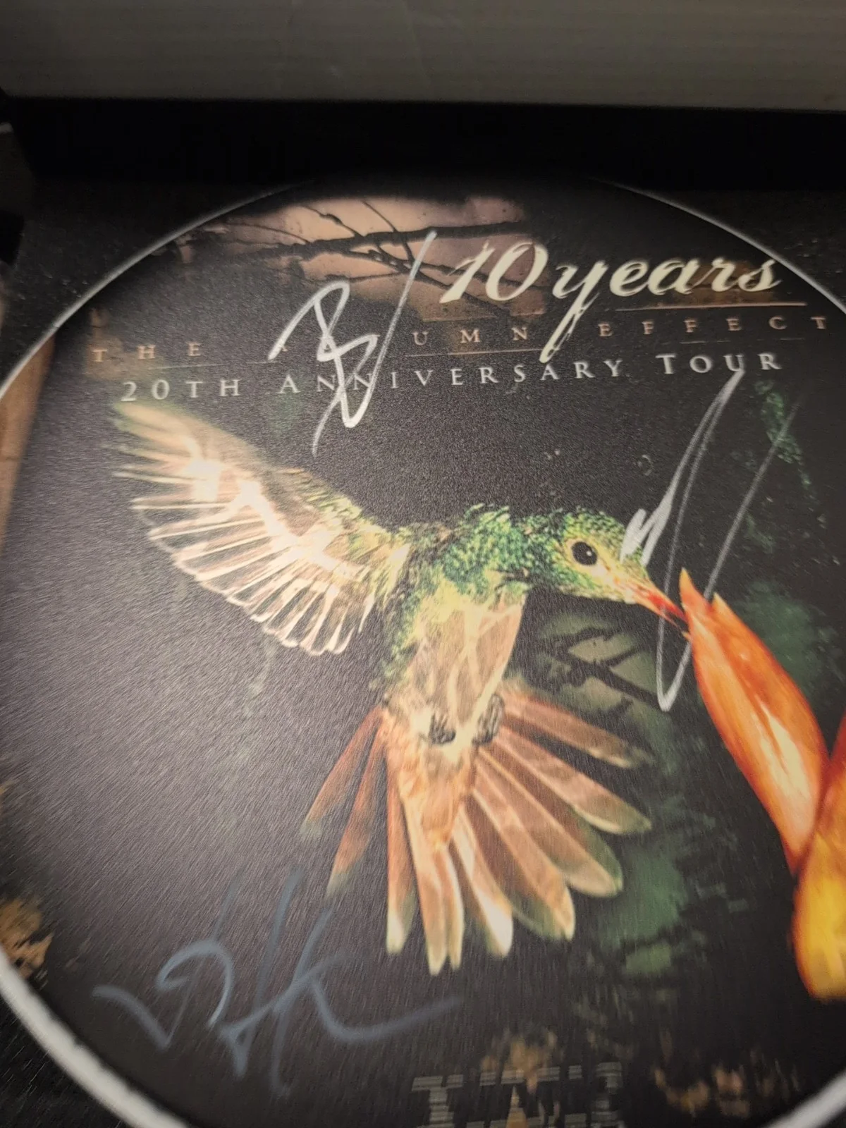 10 YEARS Band SIGNED Drumhead The Autumn Effect 20th 💯 Official Merch See Descr, изображение 4