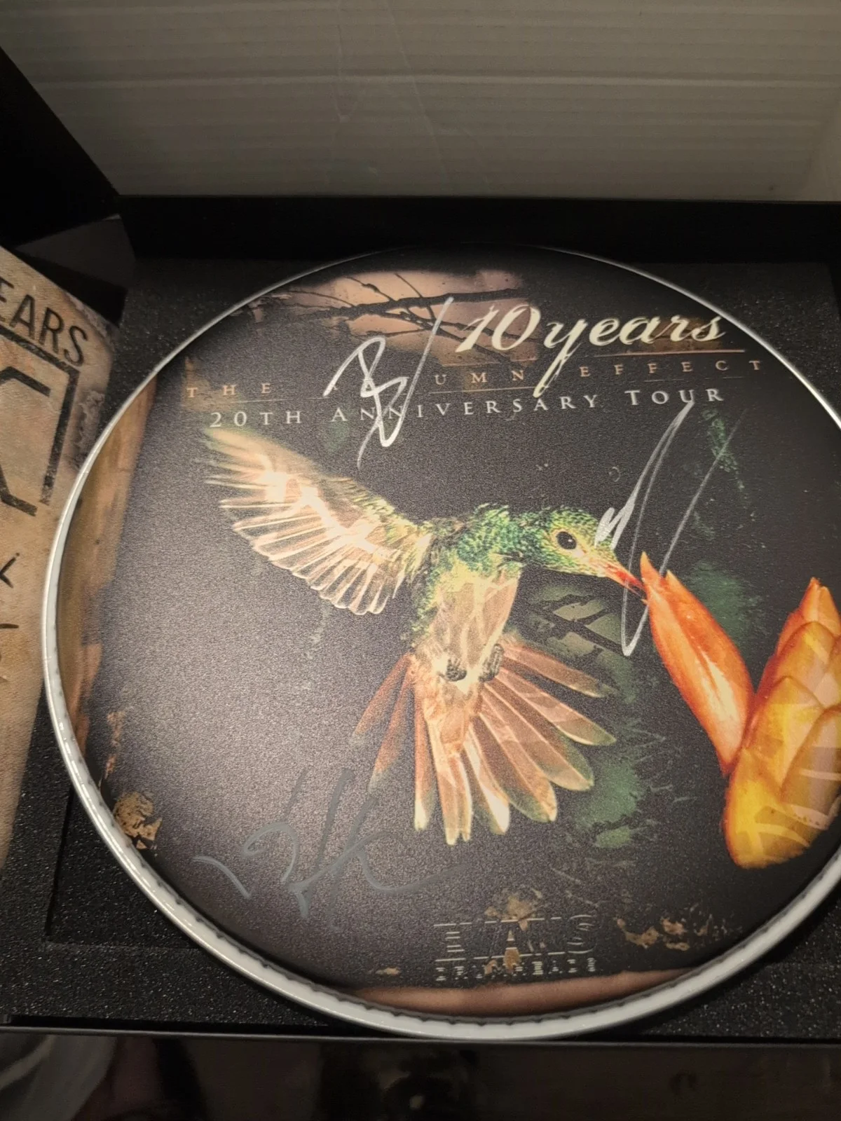 10 YEARS Band SIGNED Drumhead The Autumn Effect 20th 💯 Official Merch See Descr, изображение 5