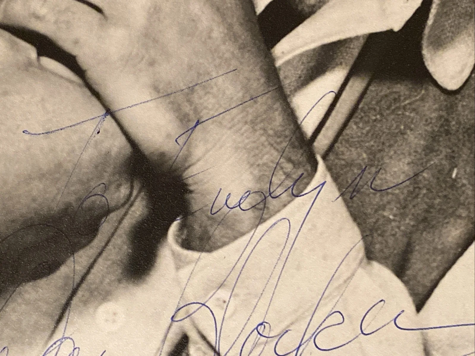 Dan Blocker — Dan Blocker “Hoss Cartwright” Bonanza Rare Autographed 11x14 Photo COA SIGNED, image 5