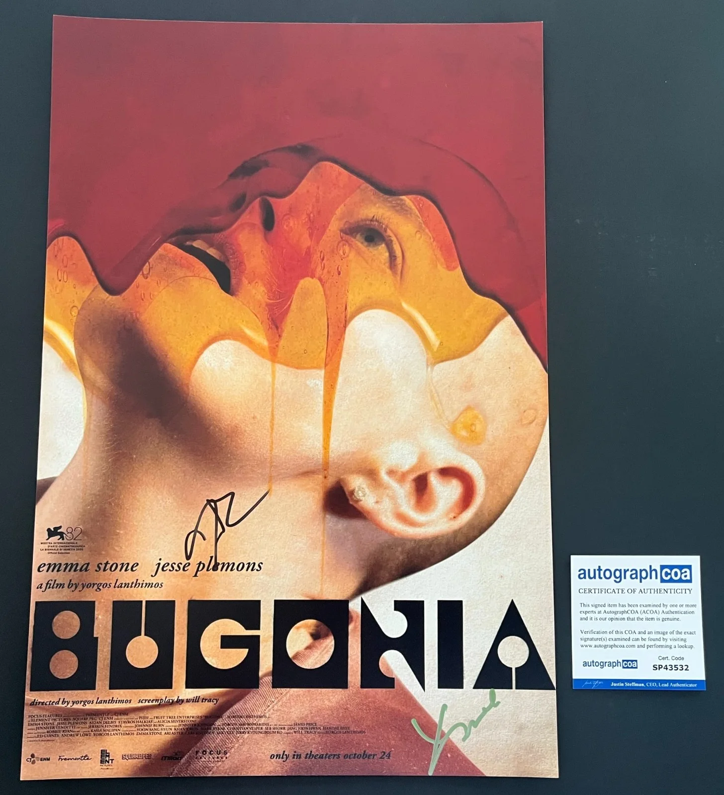 JESSE PLEMONS & YORGOS SIGNED BUGONIA 12x18 PHOTO w/EXACT VIDEO PROOF & ACOA COA, изображение 3