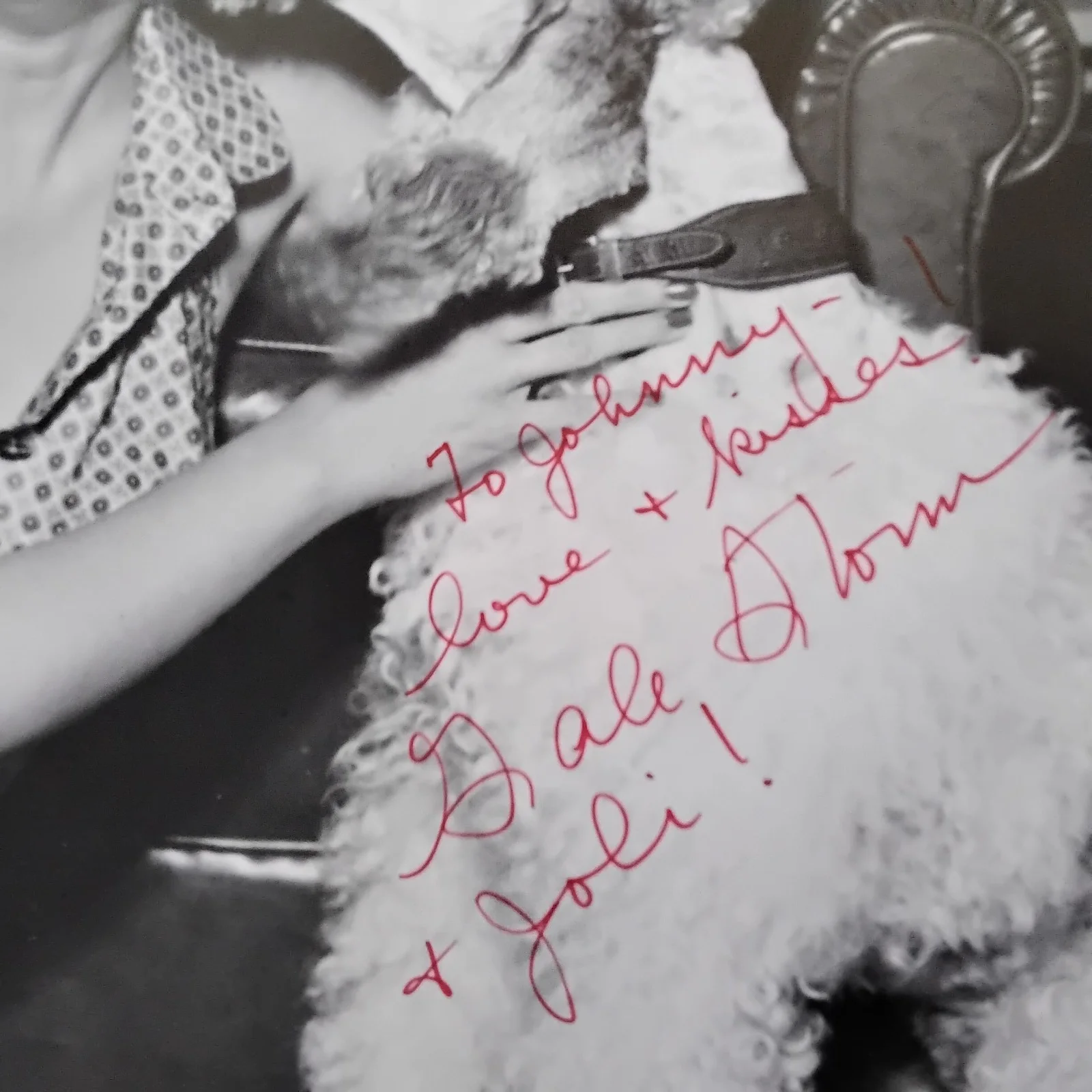 Gale Storm SIGNED Photo TV Movie Actress Revenge of the Zombies My Little Margie, изображение 4