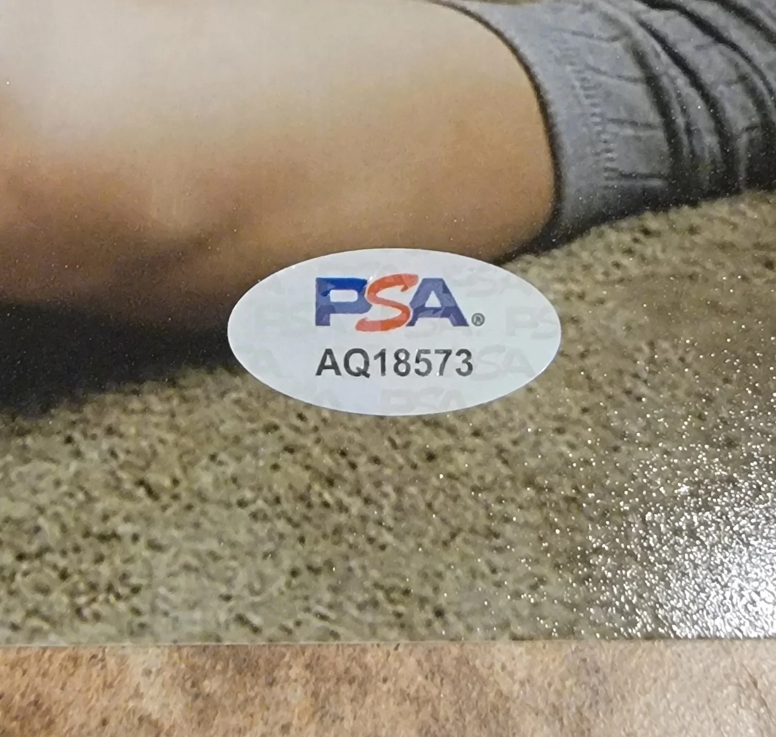 Chase Sui Wonders — Chase Sui Wonders signed 8x10 photo PSA DNA autograph photoshoot legs socks, изображение 2