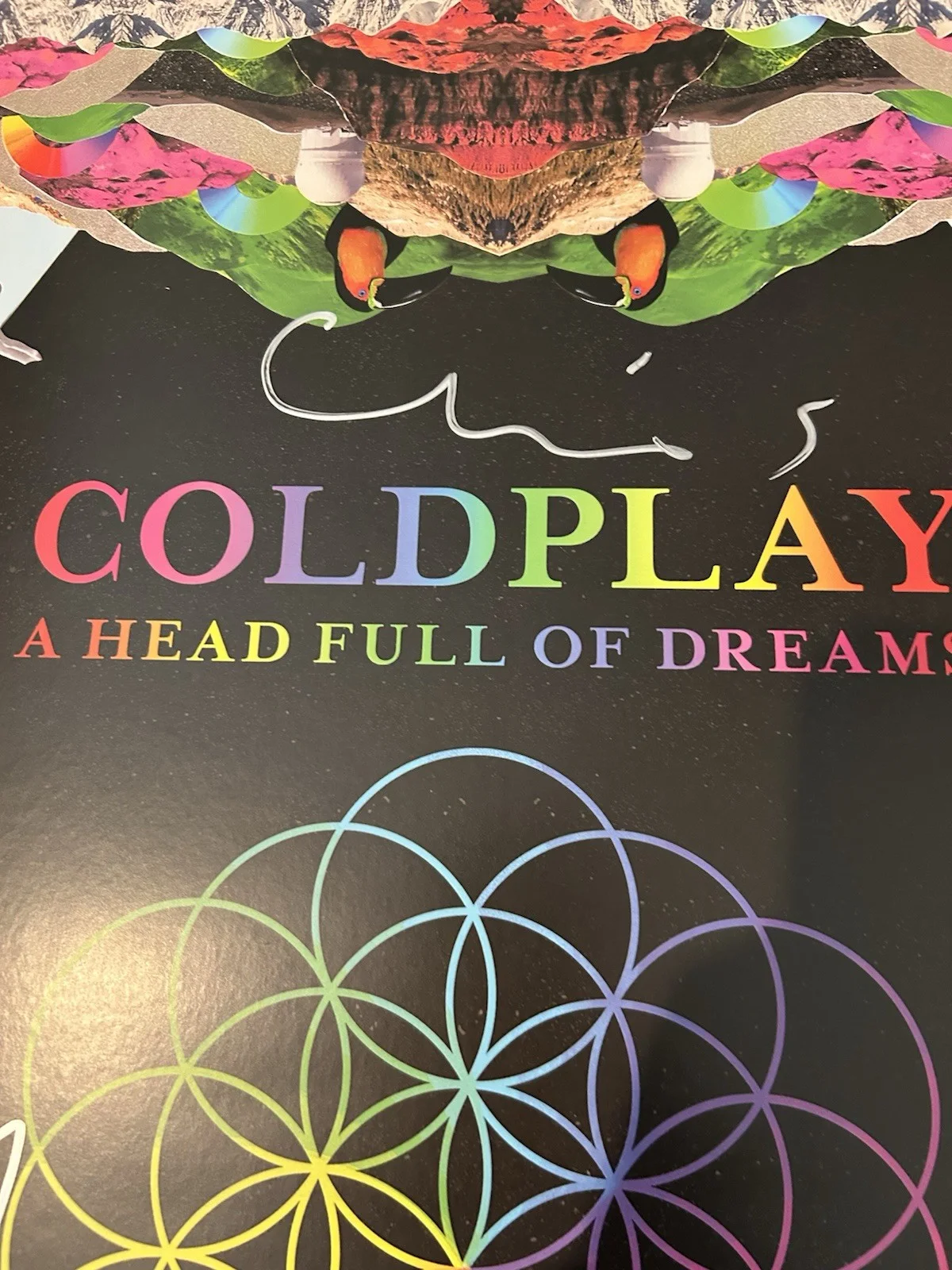 Coldplay + Full Band Signed Autograph + A Head Full Of Stars Vinyl Lithograph, image 3