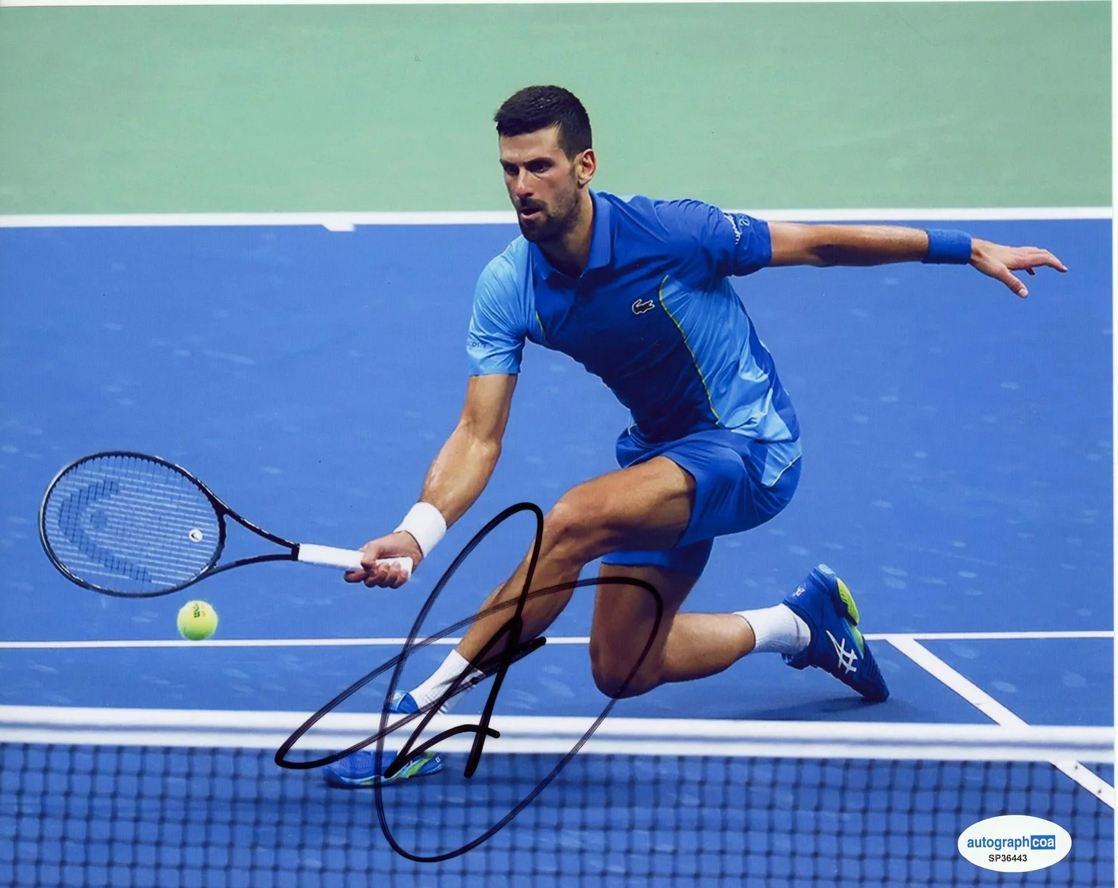 Novak Djokovic — Novak Djokovic AUTOGRAPH Signed Wimbledon Tennis Champion 8x10 Photo D ACOA, изображение 2