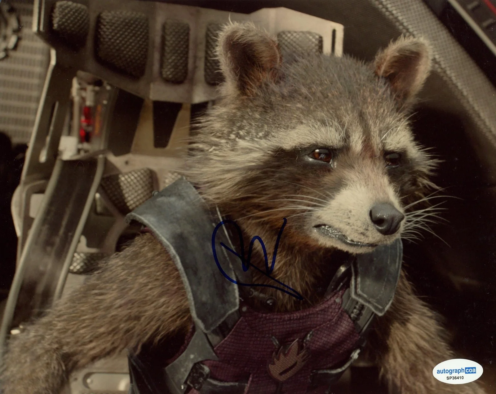 Bradley Cooper — Bradley Cooper "Guardians of the Galaxy" AUTOGRAPH Signed 8x10 Photo B ACOA, изображение 2
