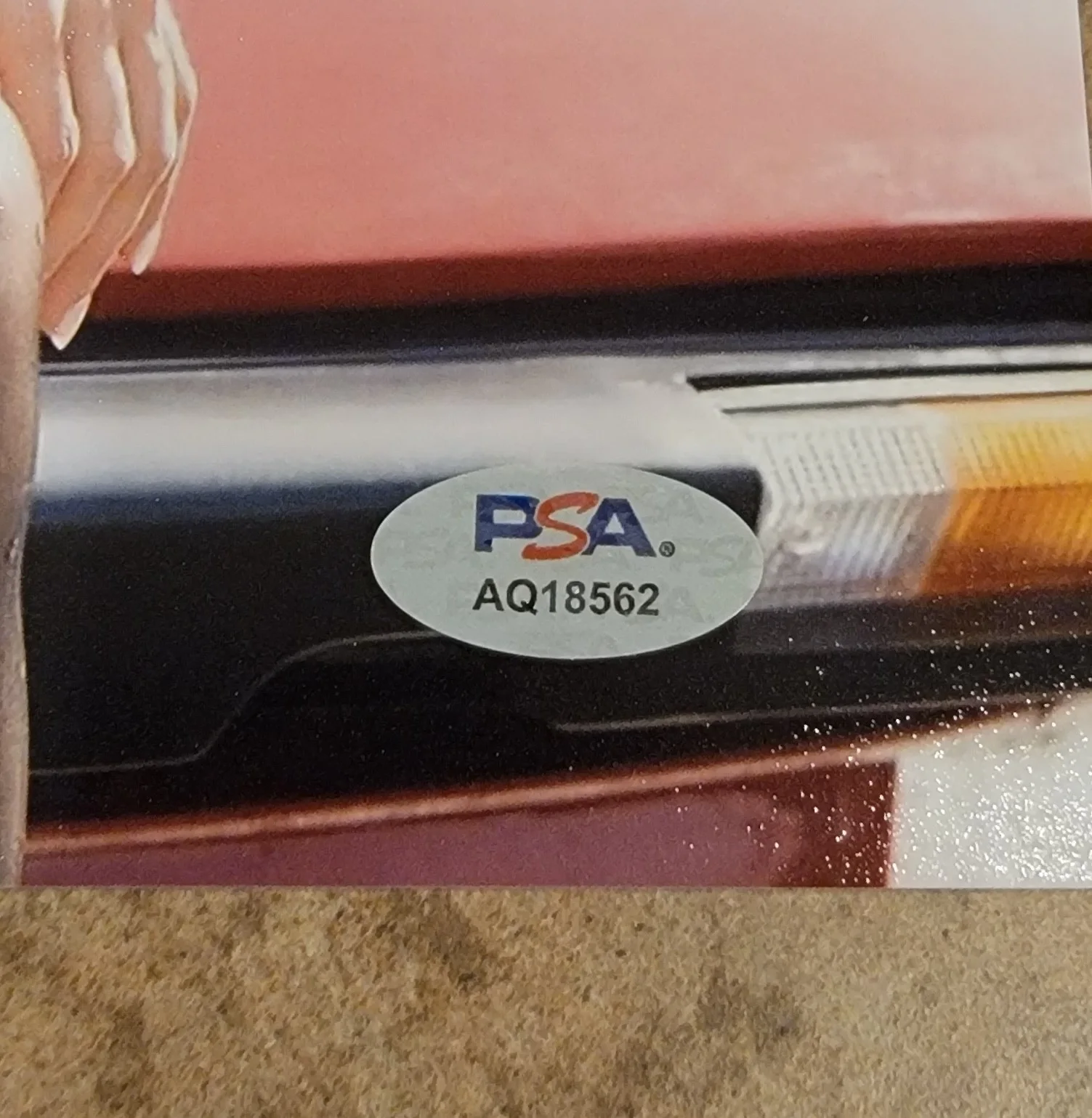 Sofia Carson — Sofia Carson signed 8x10 photo autograph PSA DNA photoshoot on car lipstick, изображение 2