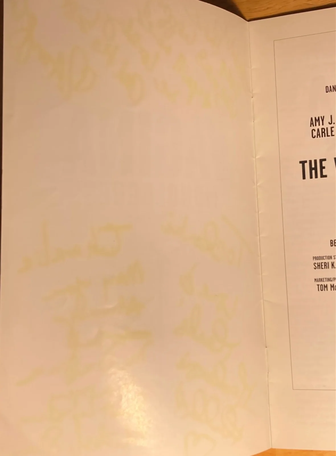 3x Hand SIGNED Vagina Monologues "Playbill" Mackenzie Phillips, Michele Shay +1, image 5