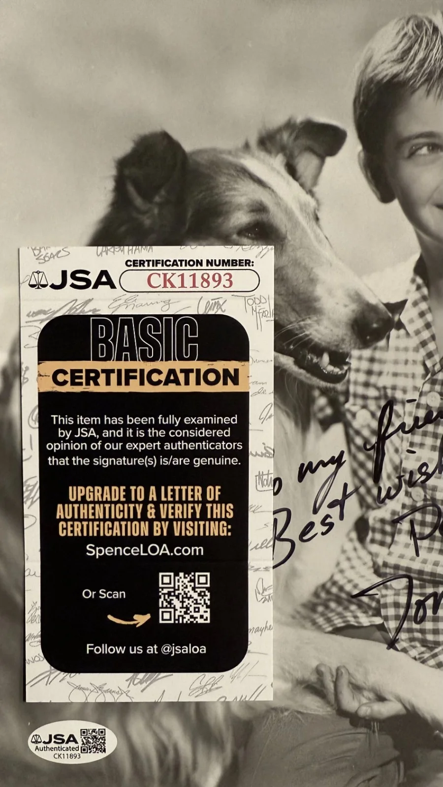 Tommy Rettig — TOMMY RETTIG Signed Autographed 8" x 10" PHOTO Vintage 1978 LASSIE JSA CERTIFIED, image 2