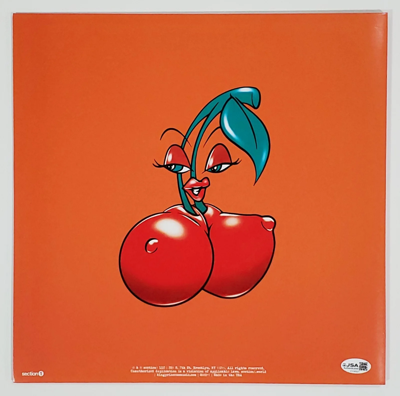 KING PRINCESS SIGNED GIRL VIOLENCE VINYL LP RECORD ALBUM W/JSA CERT, image 2
