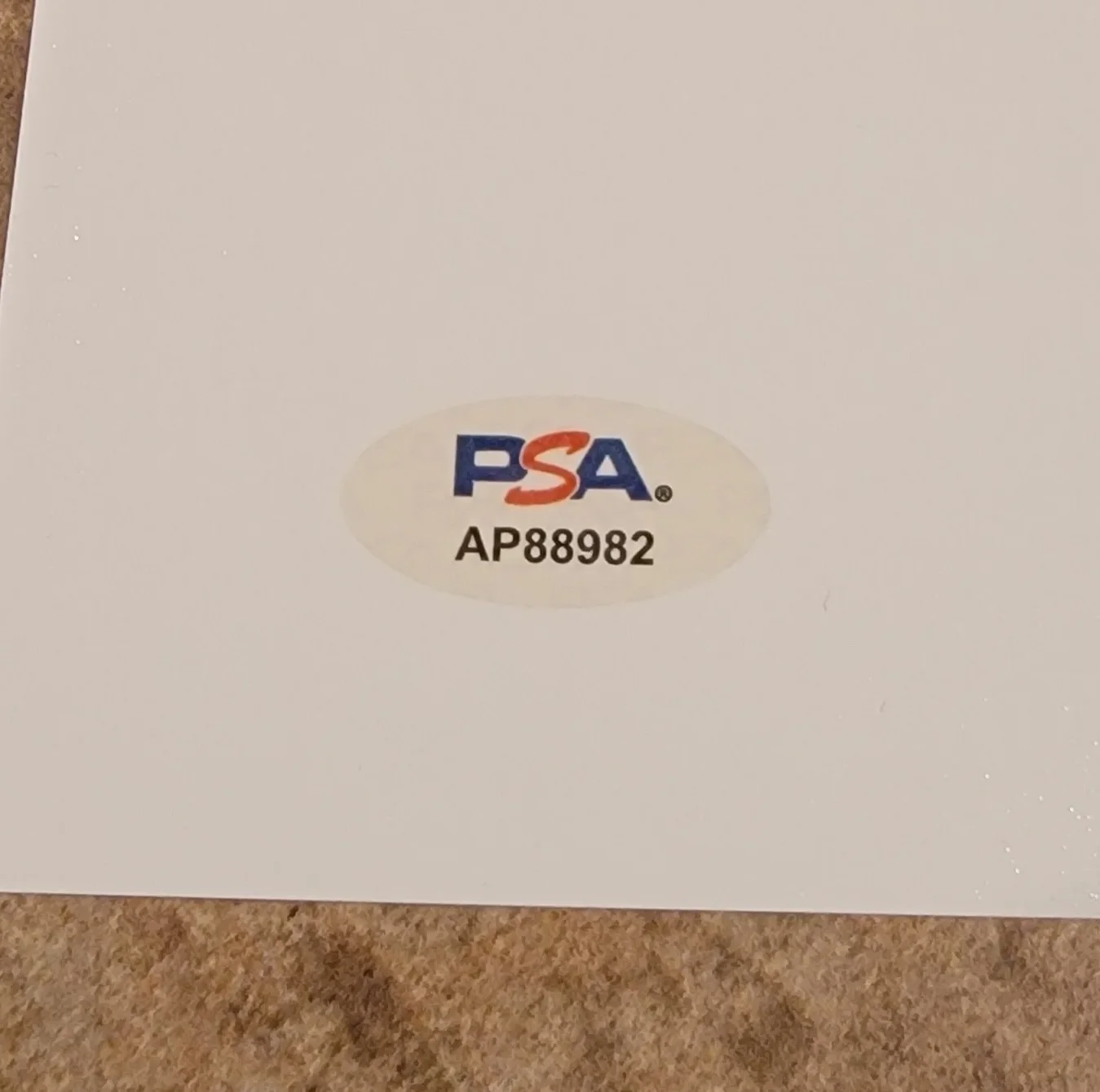 Zoey Deutch — Zoey Deutch signed 11x14 Photo PSA DNA Autograph photoshoot orange top, изображение 2