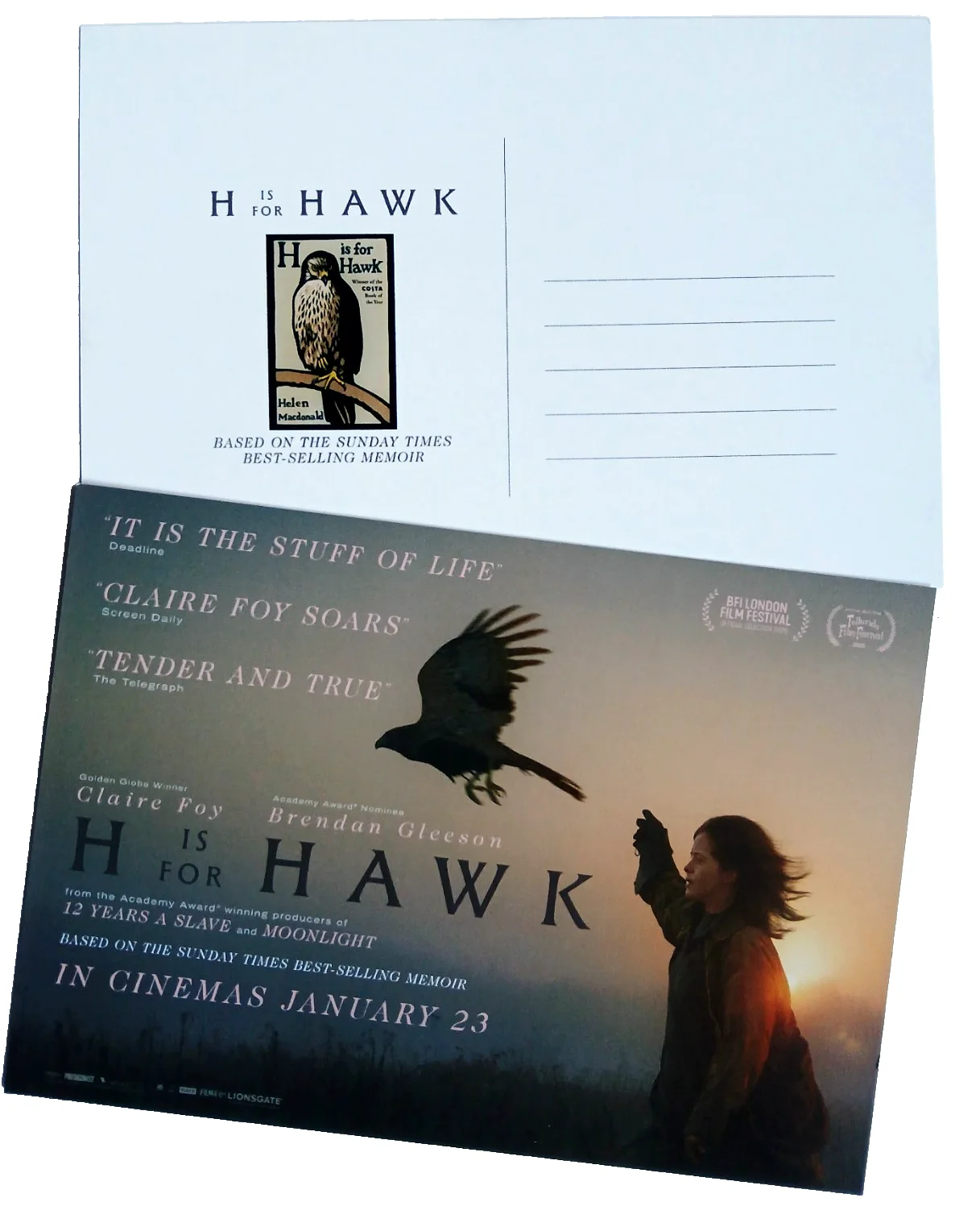 H is for Hawk Movie Film Postcards x 2, изображение 2