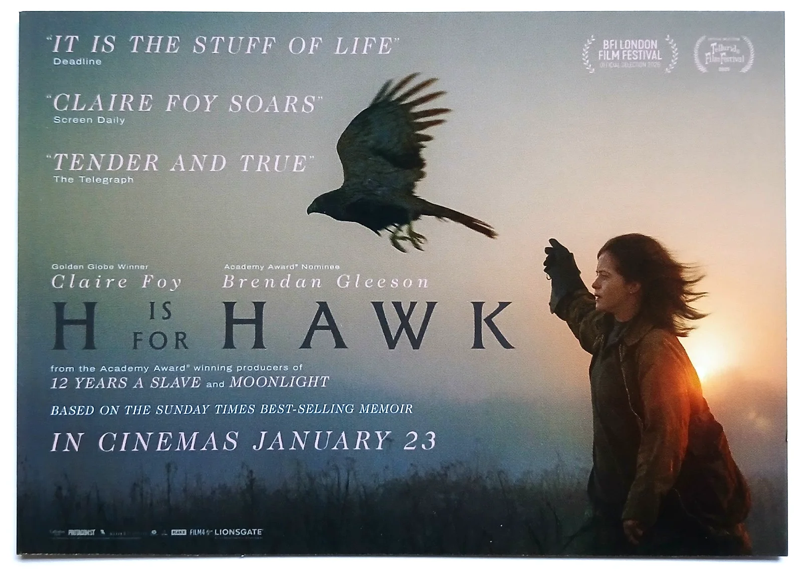 H is for Hawk Movie Film Postcards x 2, изображение 3
