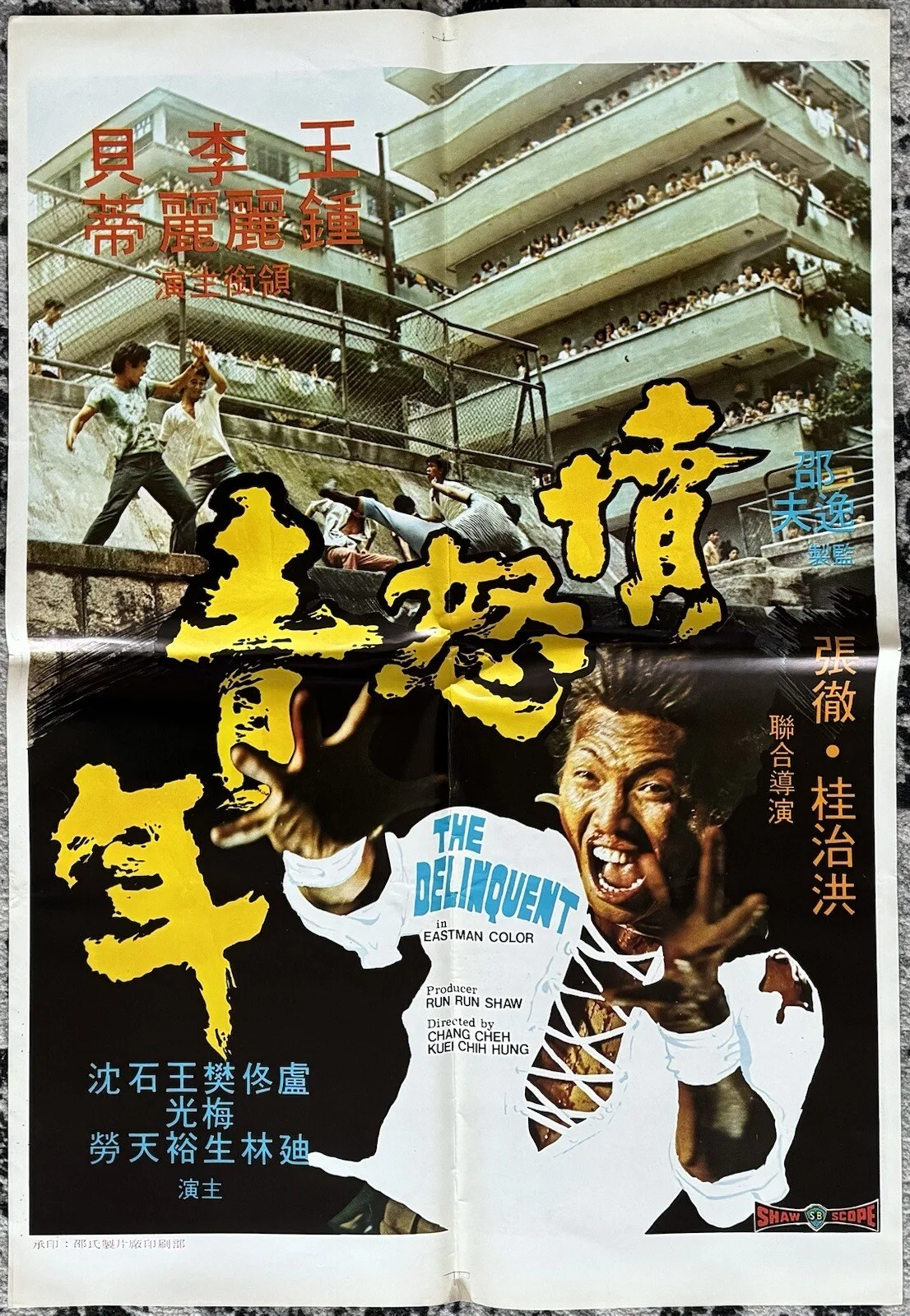 THE DELINQUENT 1973 ORIGINAL HONG KONG 'KUNG FU' MOVIE POSTER NEAR MINT, изображение 4
