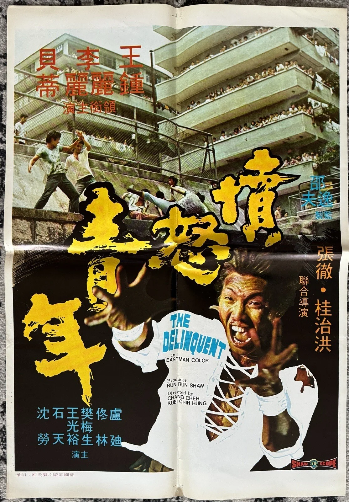 THE DELINQUENT 1973 ORIGINAL HONG KONG 'KUNG FU' MOVIE POSTER NEAR MINT, изображение 5