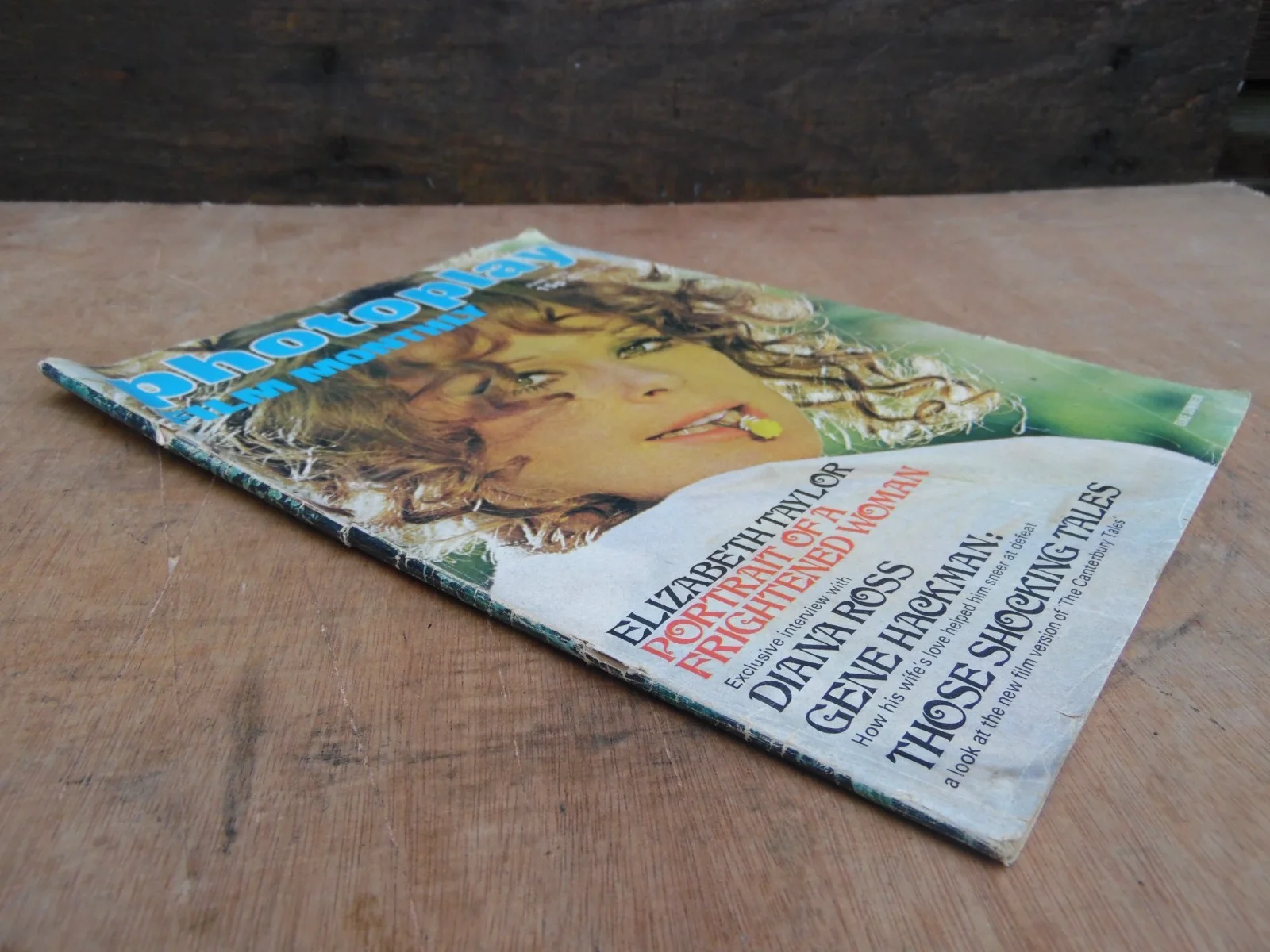 Vintage Photoplay Film Monthly Magazine June 1973 ELKE SOMMER Cover, изображение 3