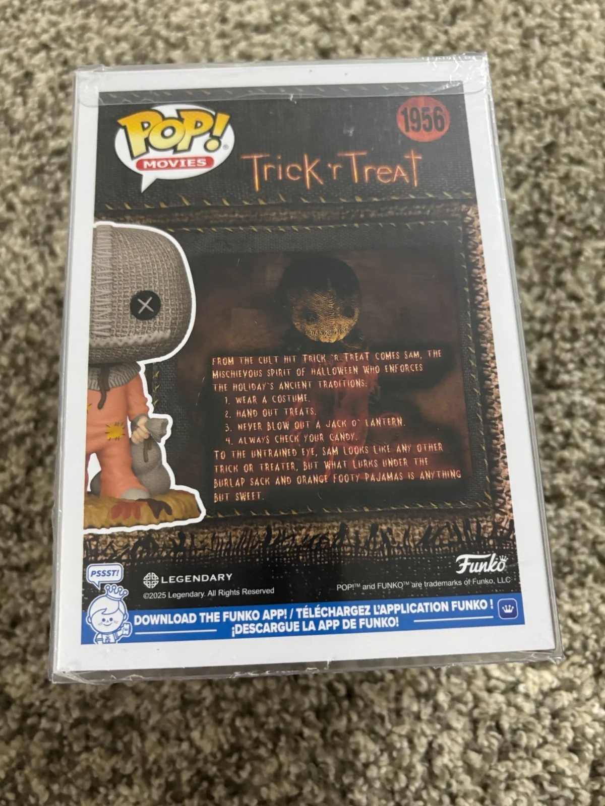 Quinn Lord — Trick or Treat - Sam w/ Pumpkin - Quinn Lord Signed Funko w/ COA, image 4