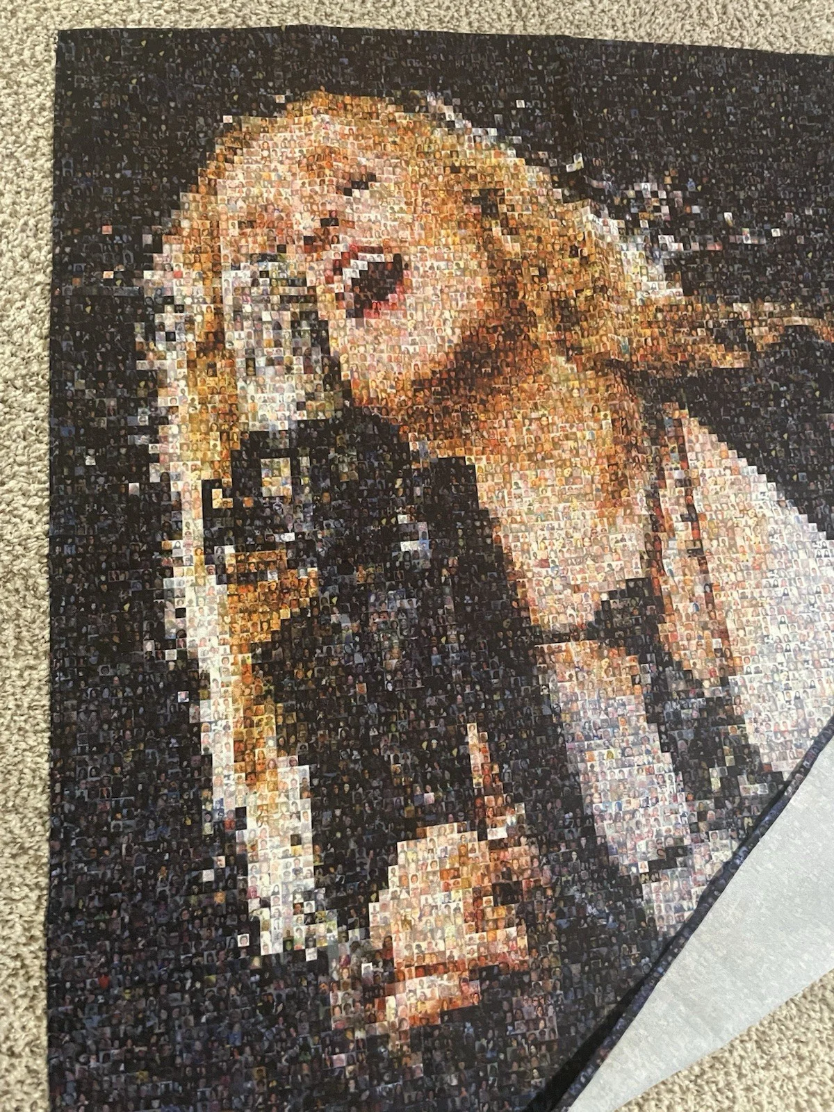 RARE SIGNED Melissa Etheridge This Is Me Tapestry Banner Flag Album Cover, изображение 2