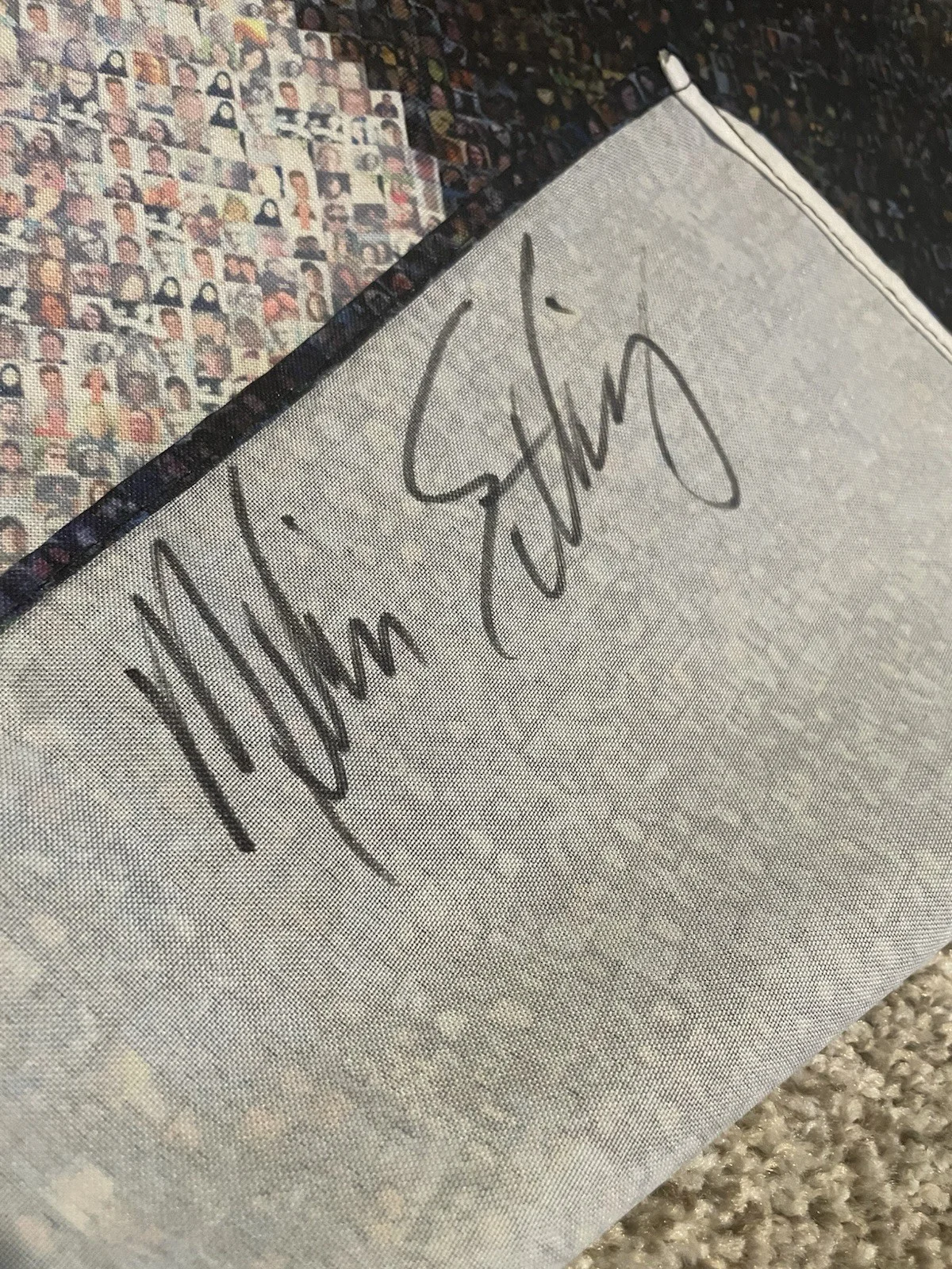 RARE SIGNED Melissa Etheridge This Is Me Tapestry Banner Flag Album Cover, изображение 3