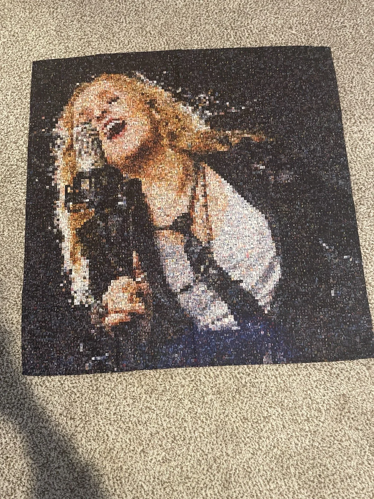RARE SIGNED Melissa Etheridge This Is Me Tapestry Banner Flag Album Cover, изображение 4