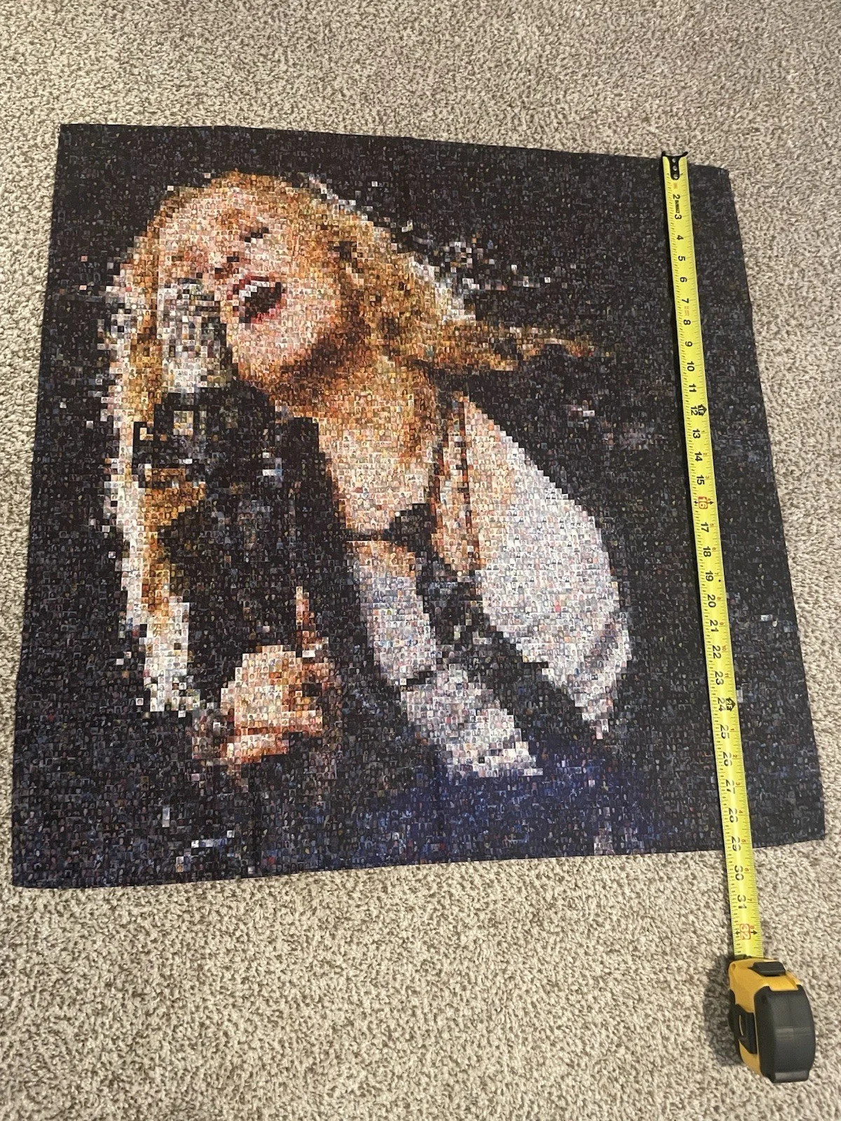RARE SIGNED Melissa Etheridge This Is Me Tapestry Banner Flag Album Cover, изображение 5