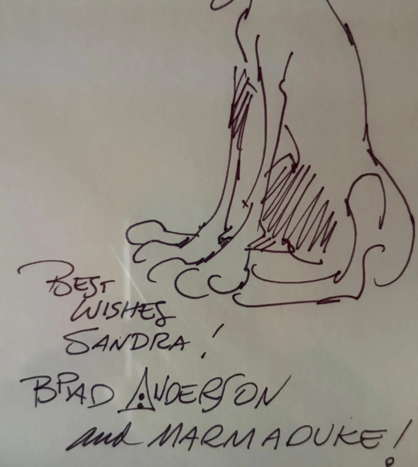 Brad Anderson — BRAD ANDERSON SIGNED SKETCH PAGE PSA ENCAPSULATED CARTOON COMIC STRIP MARMADUKE, изображение 3