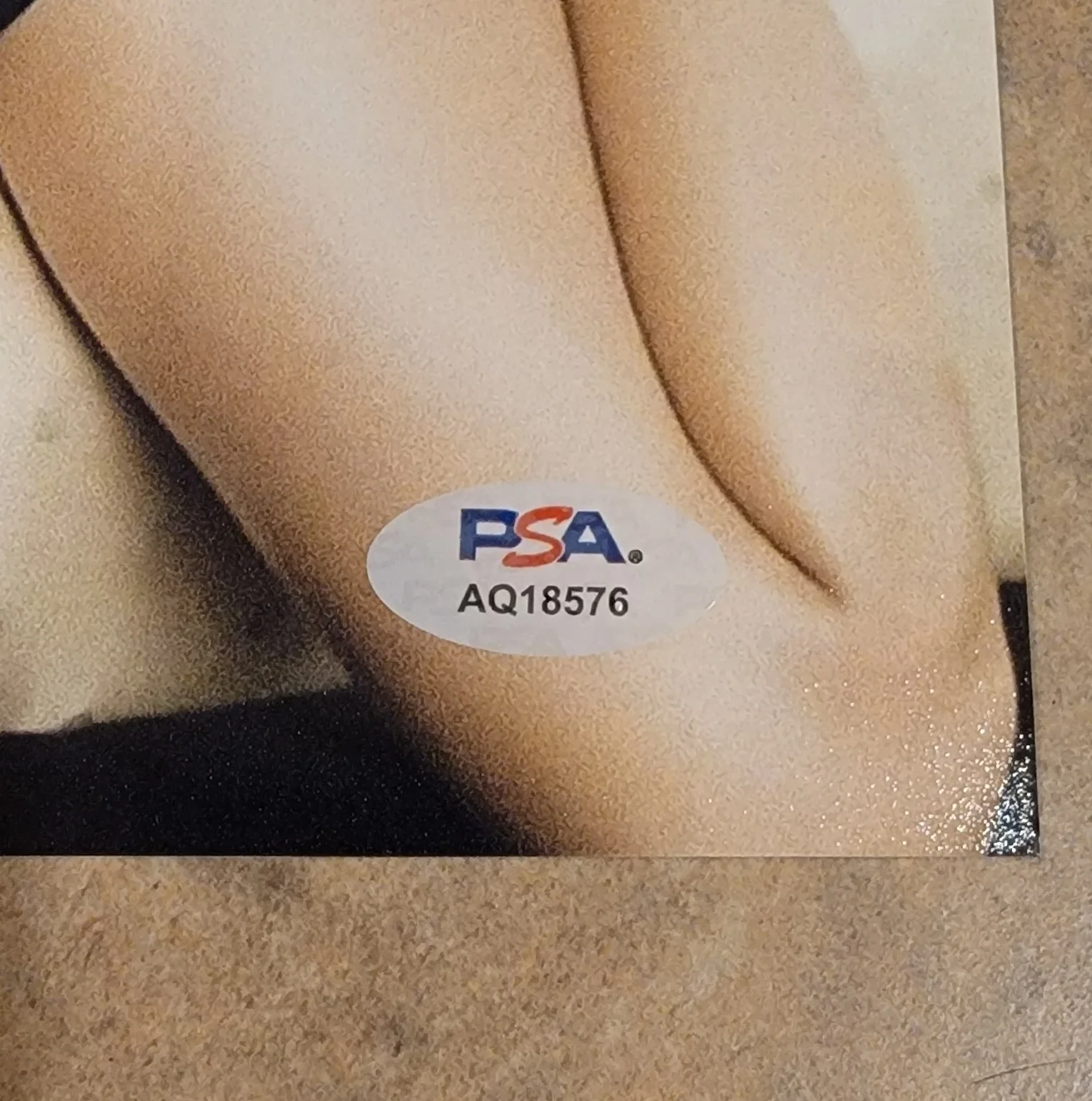 Alison Brie — Alison Brie signed 8x10 photo autograph PSA DNA Photoshoot black dress, изображение 2