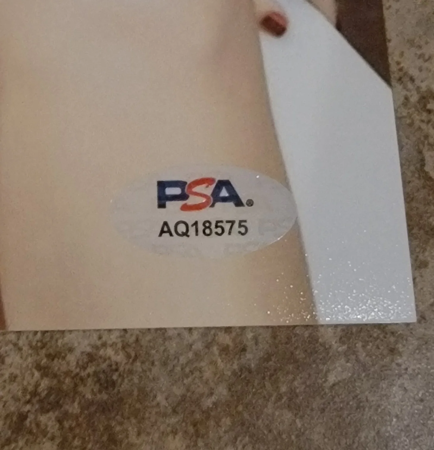Alison Brie — Alison Brie signed 8x10 photo autograph PSA DNA Photoshoot swimsuit pool, изображение 2