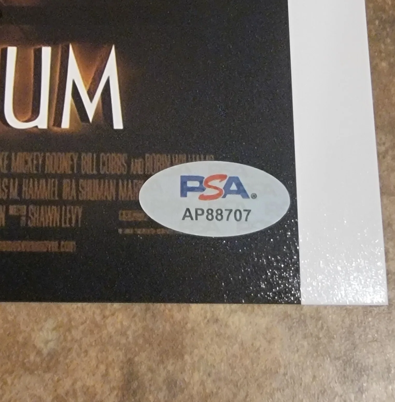Ben Stiller — Ben Stiller signed 8x10 photo autograph PSA DNA Night at the Museum, image 2
