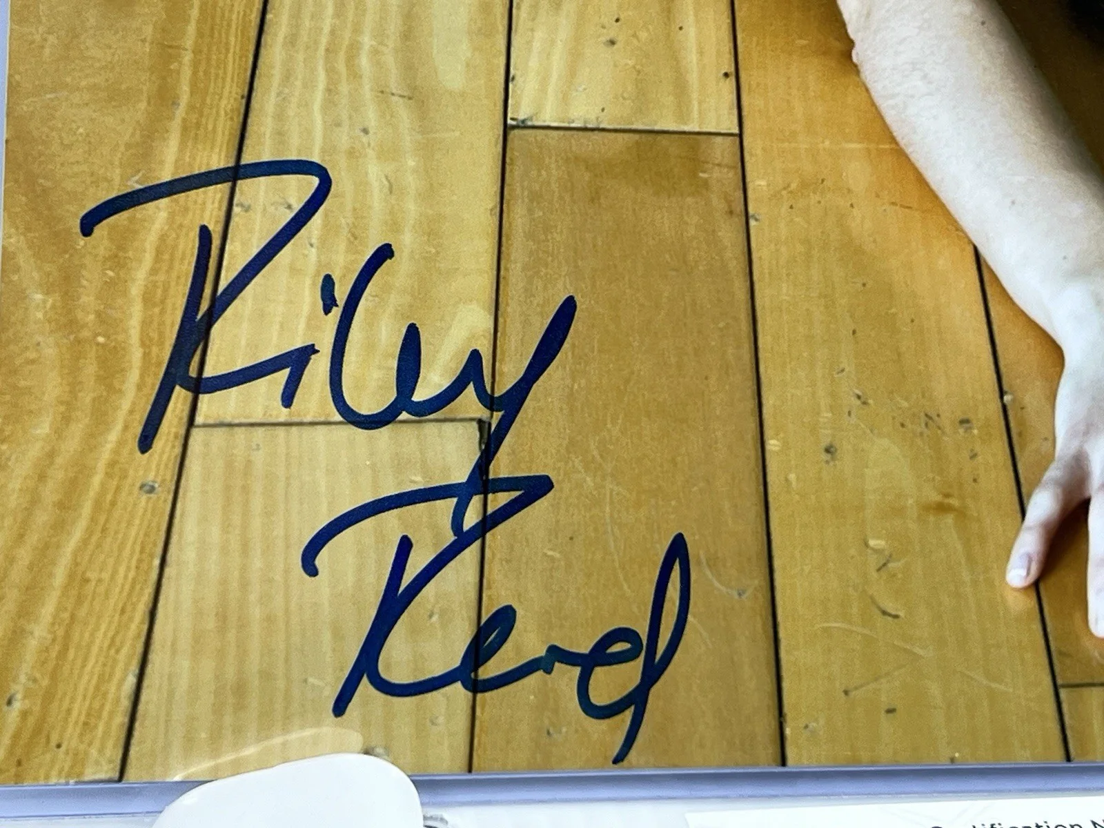 Riley Reid — Riley Reid Signed 8x10 Photo Adult Actress Autographed JSA, изображение 4