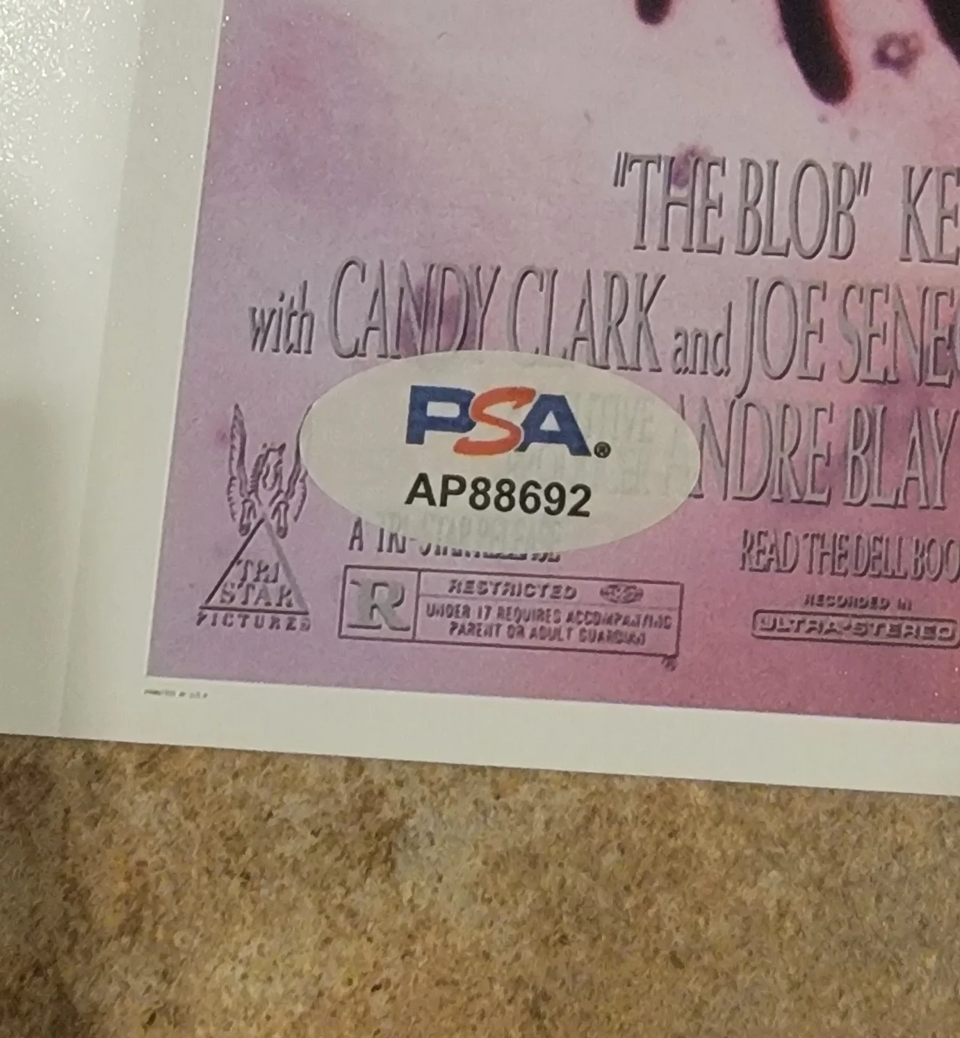 Chuck Russell — Director Chuck Russell signed 8x10 photo autograph PSA DNA The Blob, image 2