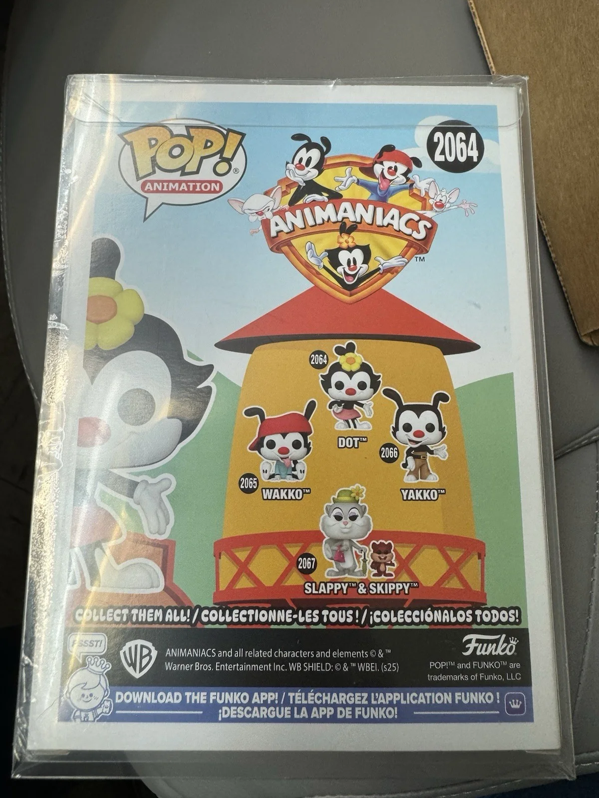 Animaniacs Dot Signed Funko Pop Signed By Tress MacNeille, image 3