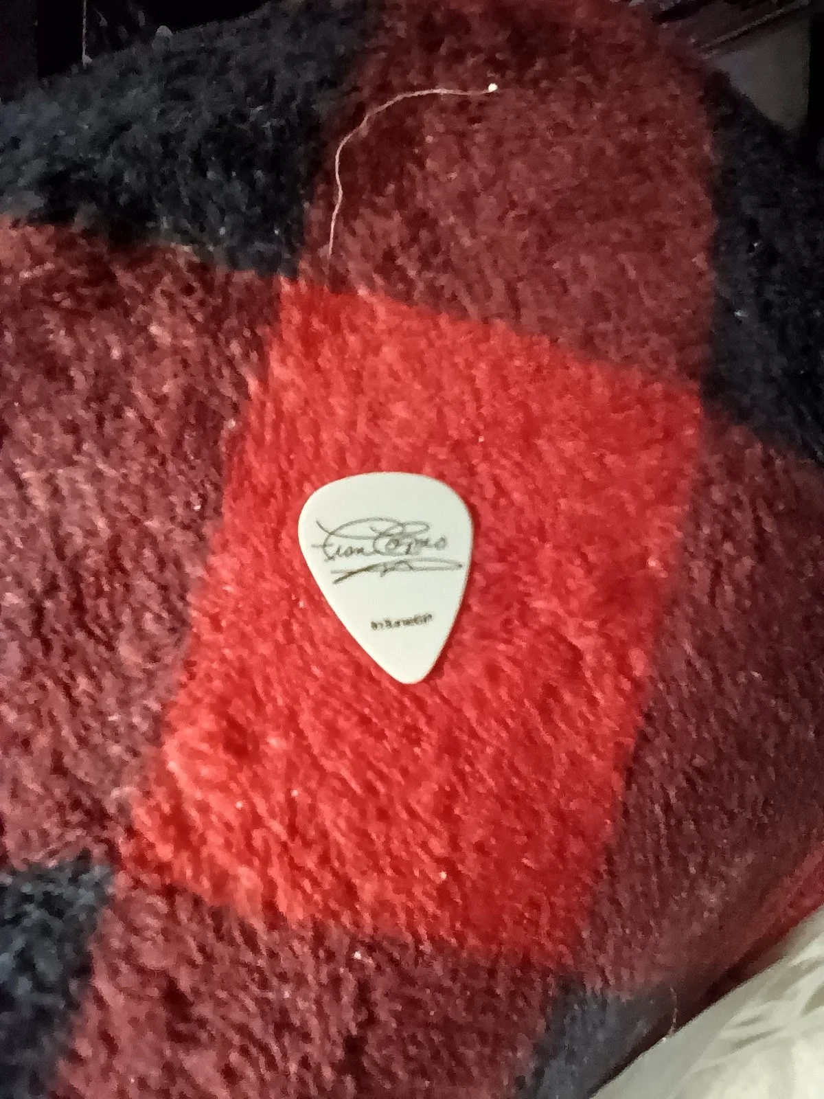 fran cosmo boston pick 🎤🎶🎸, изображение 2