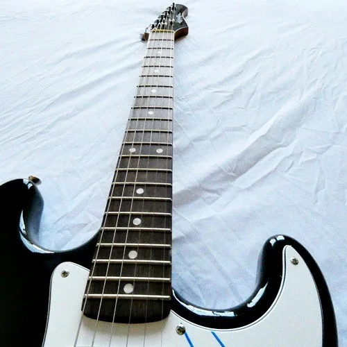 STEVE EARLE SIGNED Autograph Pros GUITAR With Auth. Stick on Back (See Photo), image 5