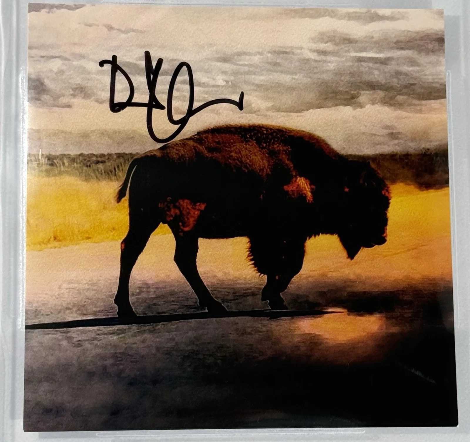 Robert Plant signed CD insert Saving Grace Led Zeppelin beckett coa slab, image 2