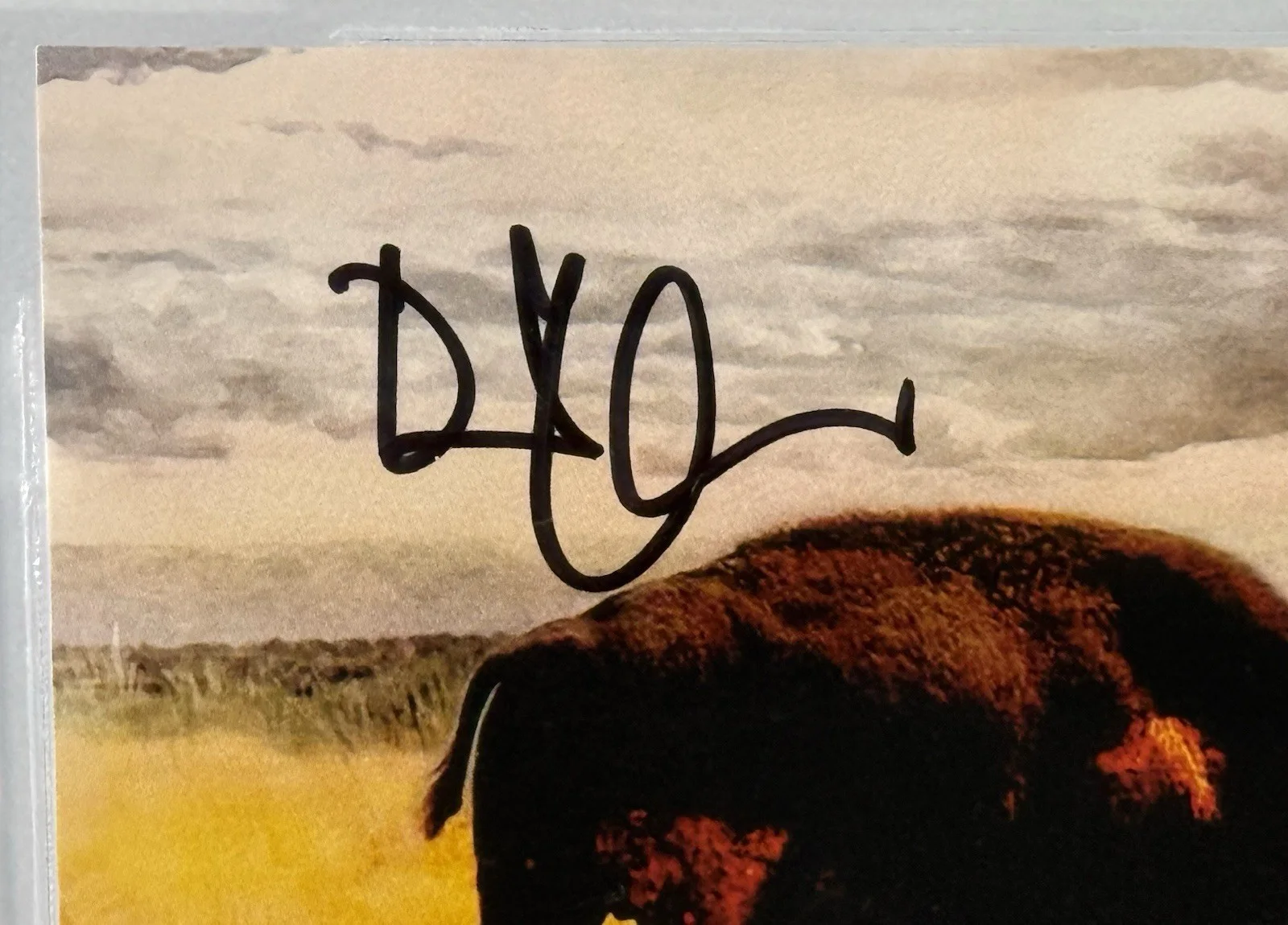 Robert Plant signed CD insert Saving Grace Led Zeppelin beckett coa slab, image 3
