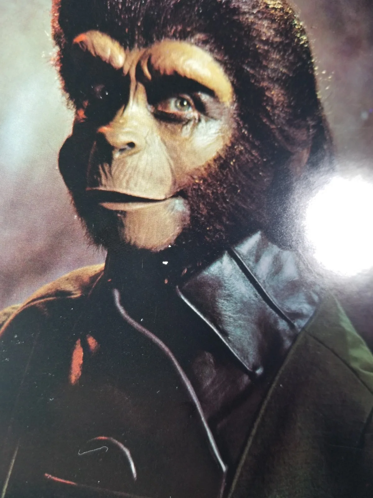 Kim Hunter — Kim Hunter hand SIGNED Planet Of The Apes Dr. Zira Promo Photo JSA COA Autograph, изображение 4