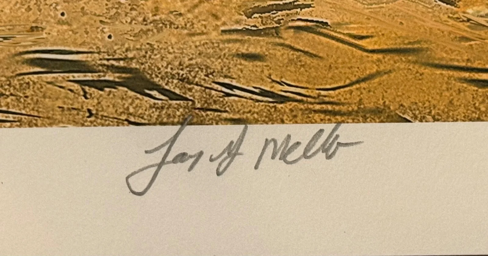 Jay Mello — Jay Mello SIGNED AUTOGRAPHED JAWS 12x12 Mondo Print JC Richard AP w/ PROOF, изображение 2